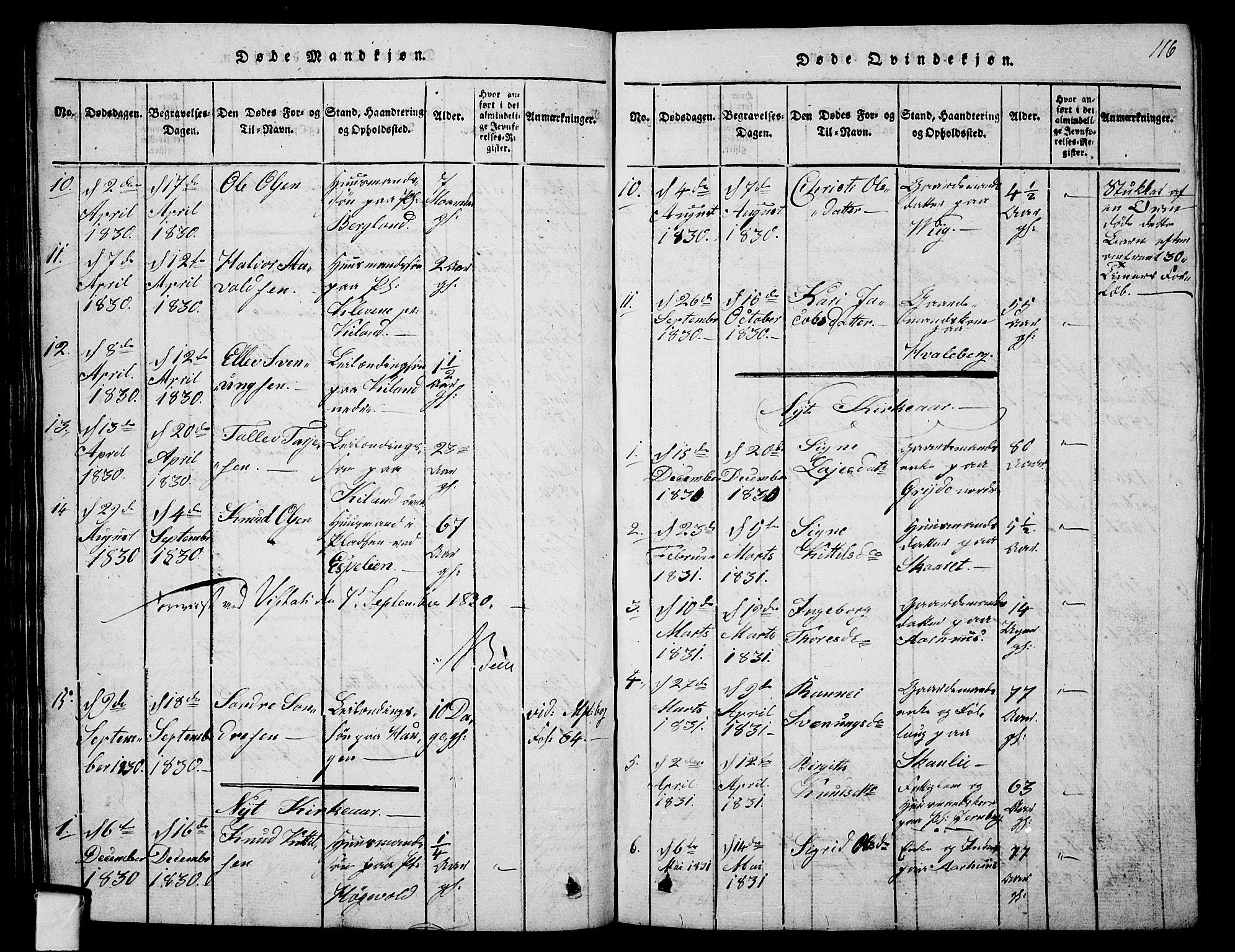 Fyresdal kirkebøker, SAKO/A-263/G/Ga/L0001: Parish register (copy) no. I 1, 1816-1840, p. 116