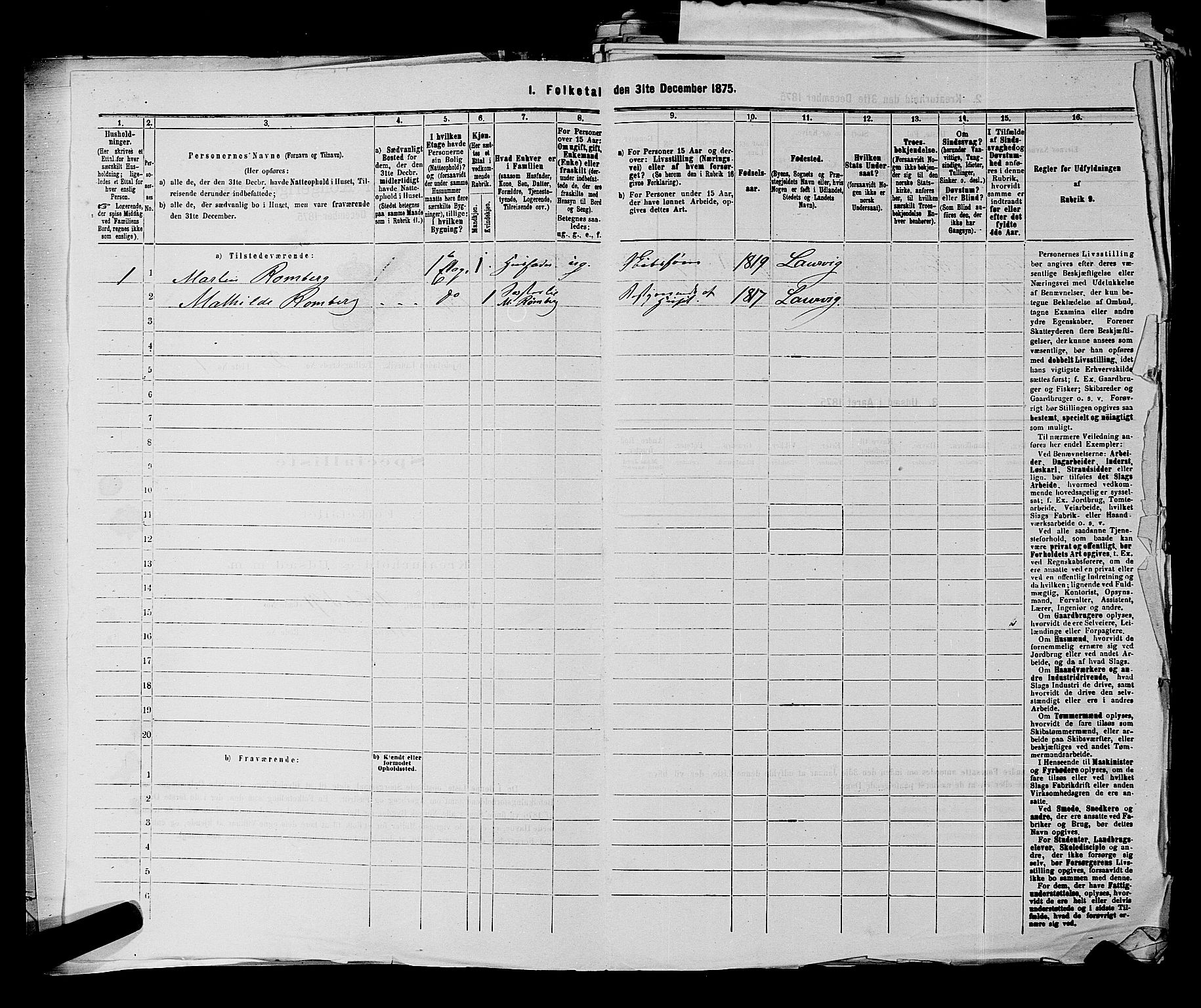 SAKO, 1875 census for 0707P Larvik, 1875, p. 224