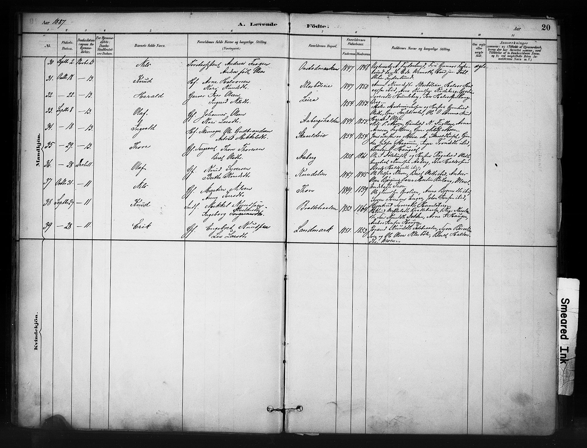 Nord-Aurdal prestekontor, SAH/PREST-132/H/Ha/Haa/L0013: Parish register (official) no. 13, 1883-1895, p. 20