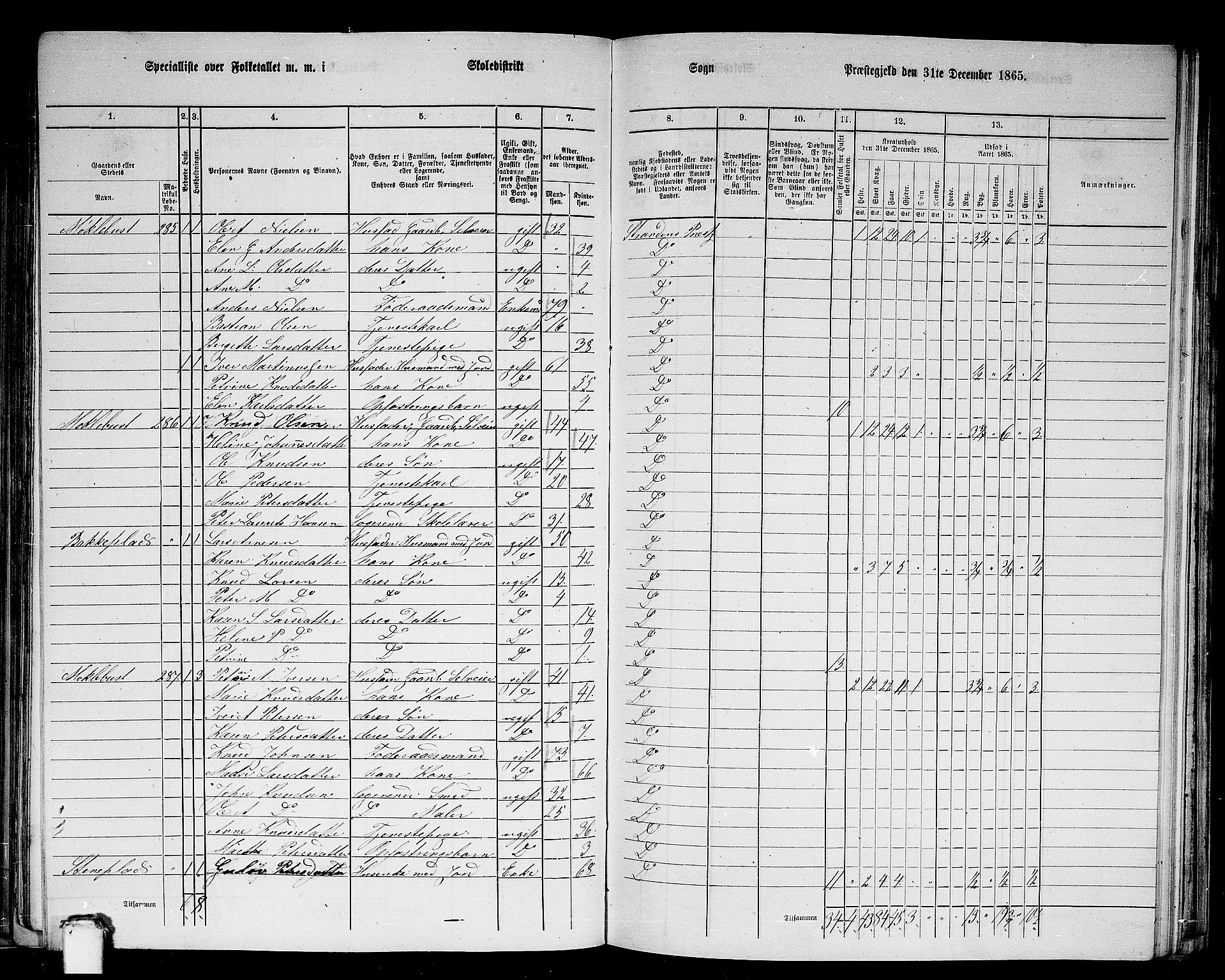 RA, 1865 census for Stranda, 1865, p. 36