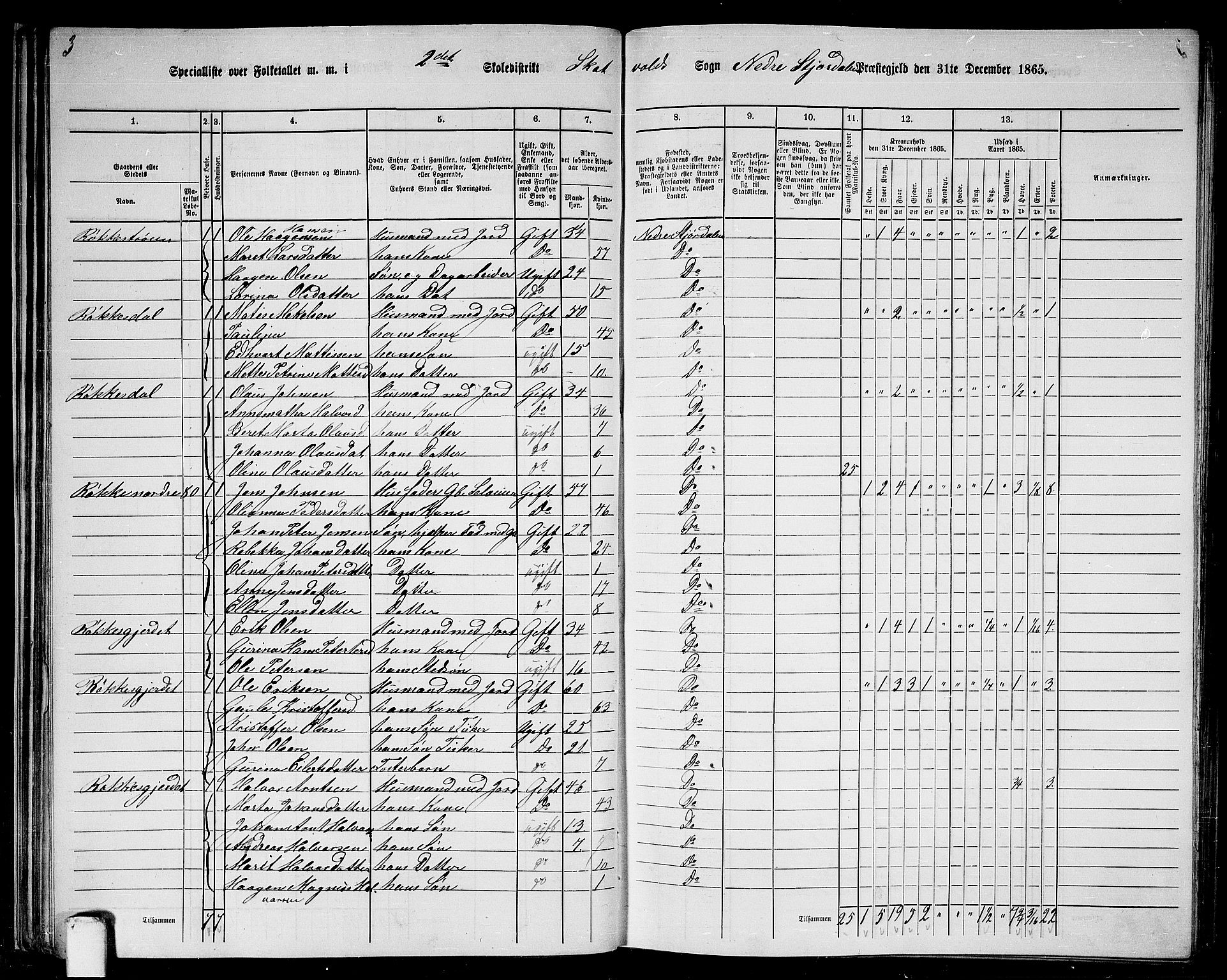 RA, 1865 census for Nedre Stjørdal, 1865, p. 38