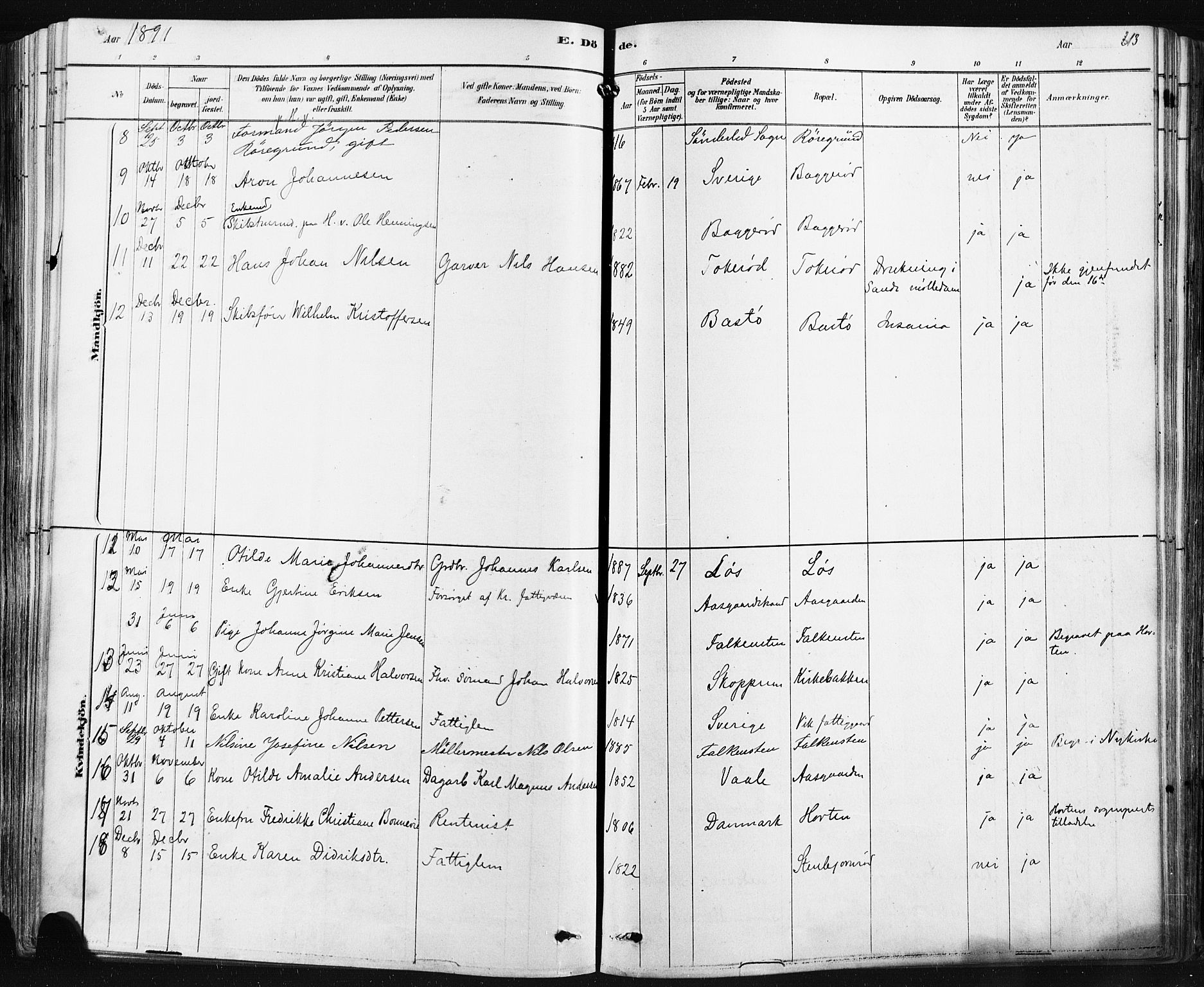 Borre kirkebøker, AV/SAKO-A-338/F/Fa/L0009: Parish register (official) no. I 9, 1878-1896, p. 213