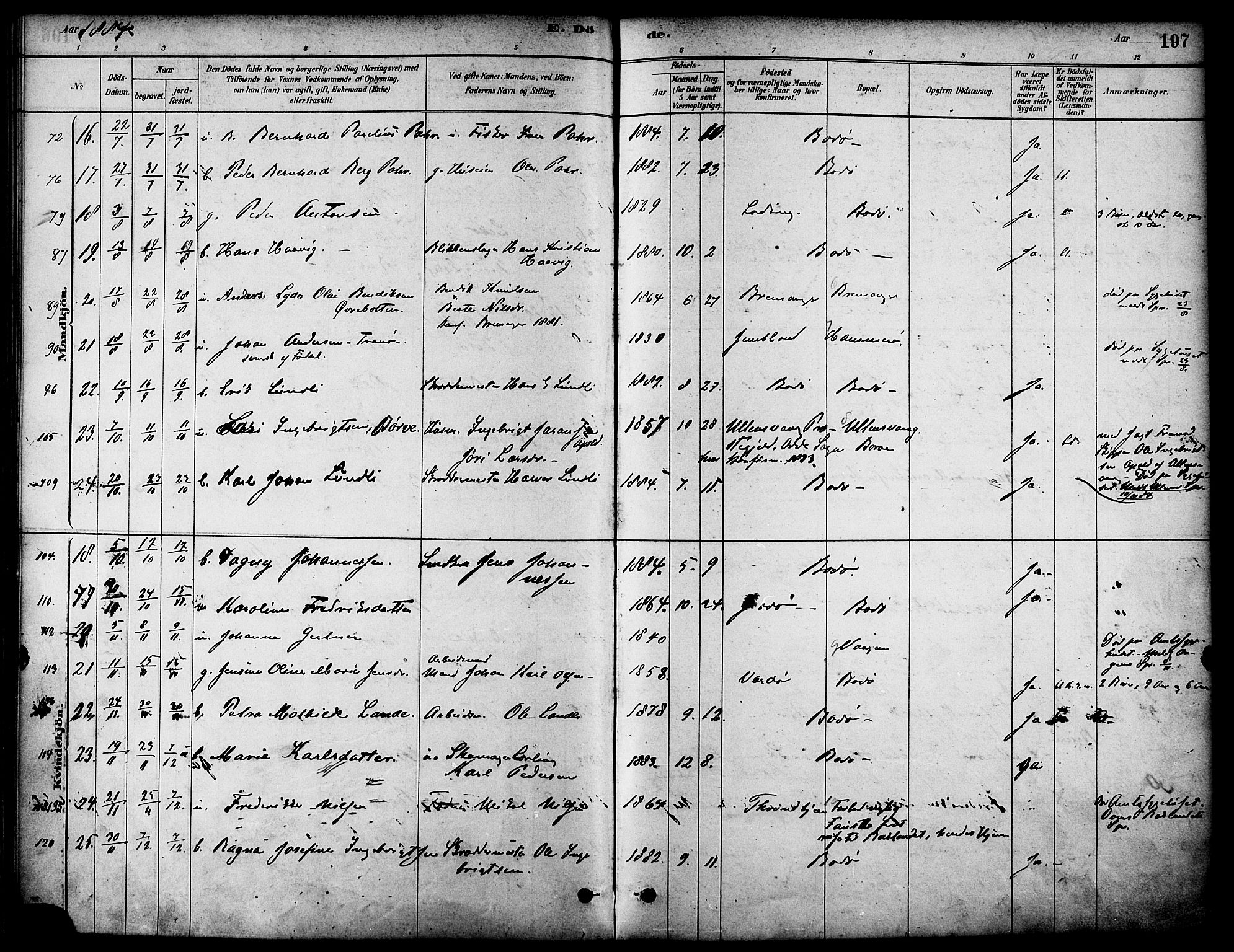 Ministerialprotokoller, klokkerbøker og fødselsregistre - Nordland, AV/SAT-A-1459/801/L0030: Parish register (copy) no. 801C05, 1879-1887, p. 197