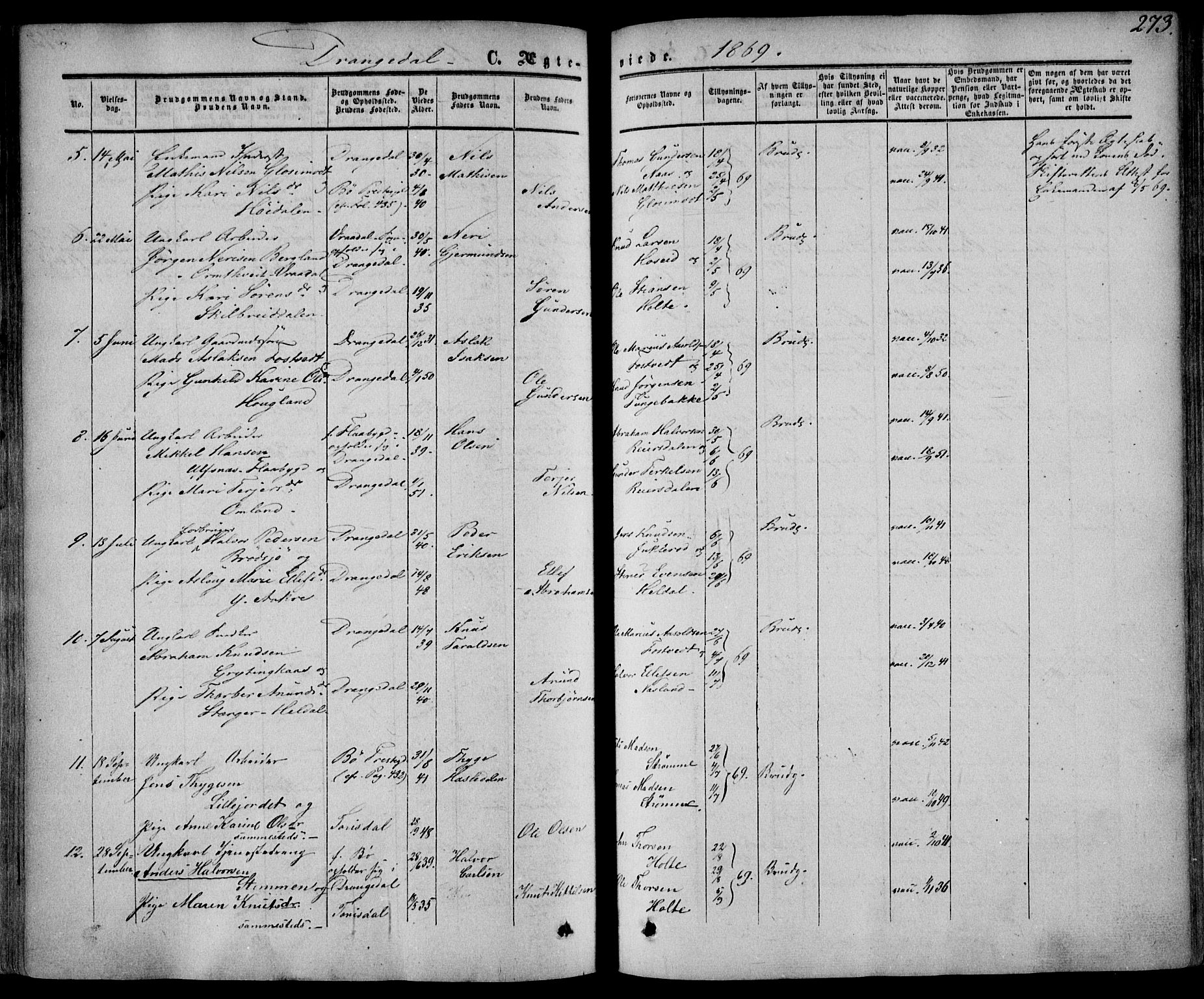 Drangedal kirkebøker, SAKO/A-258/F/Fa/L0008: Parish register (official) no. 8, 1857-1871, p. 273