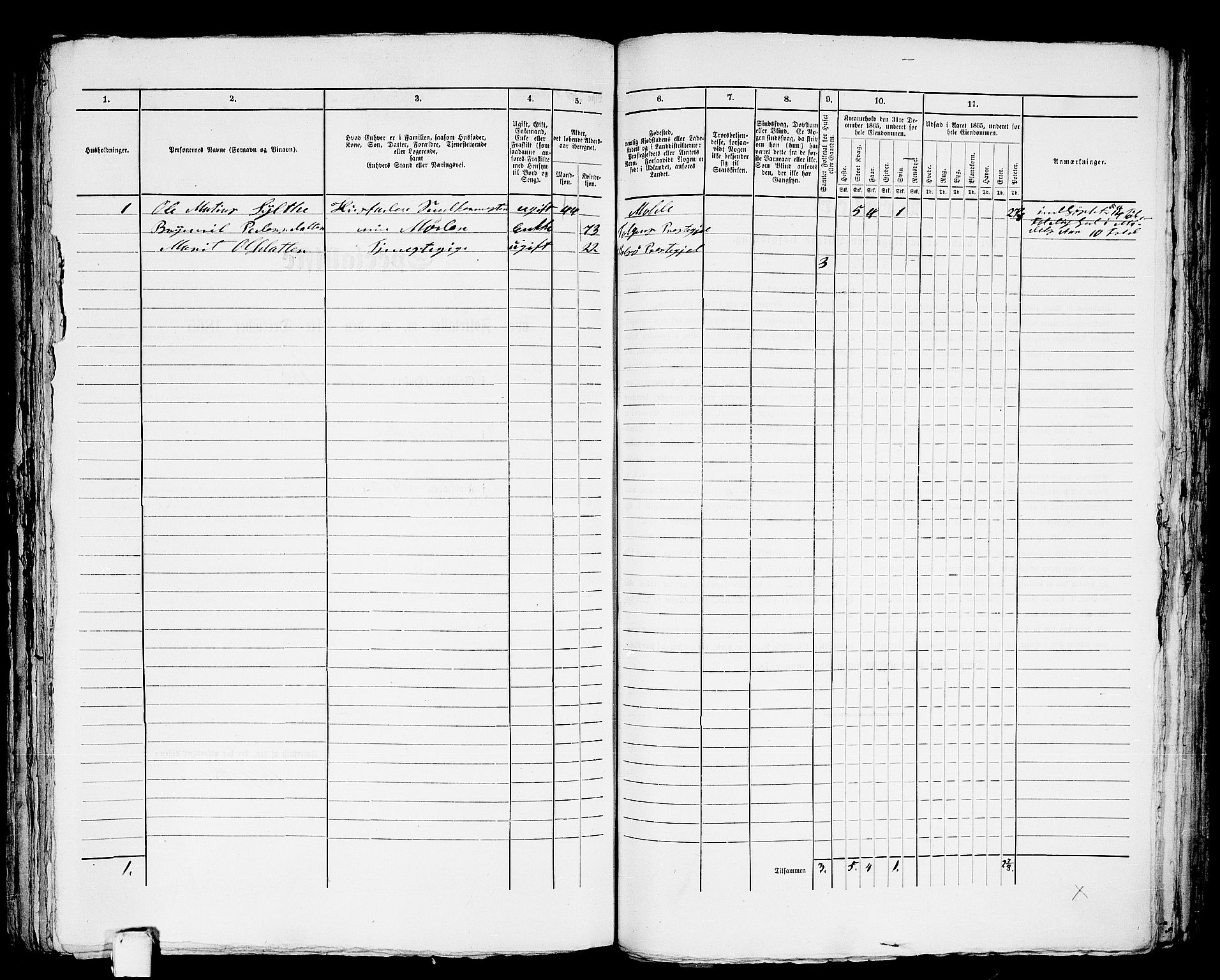 RA, 1865 census for Molde, 1865, p. 333