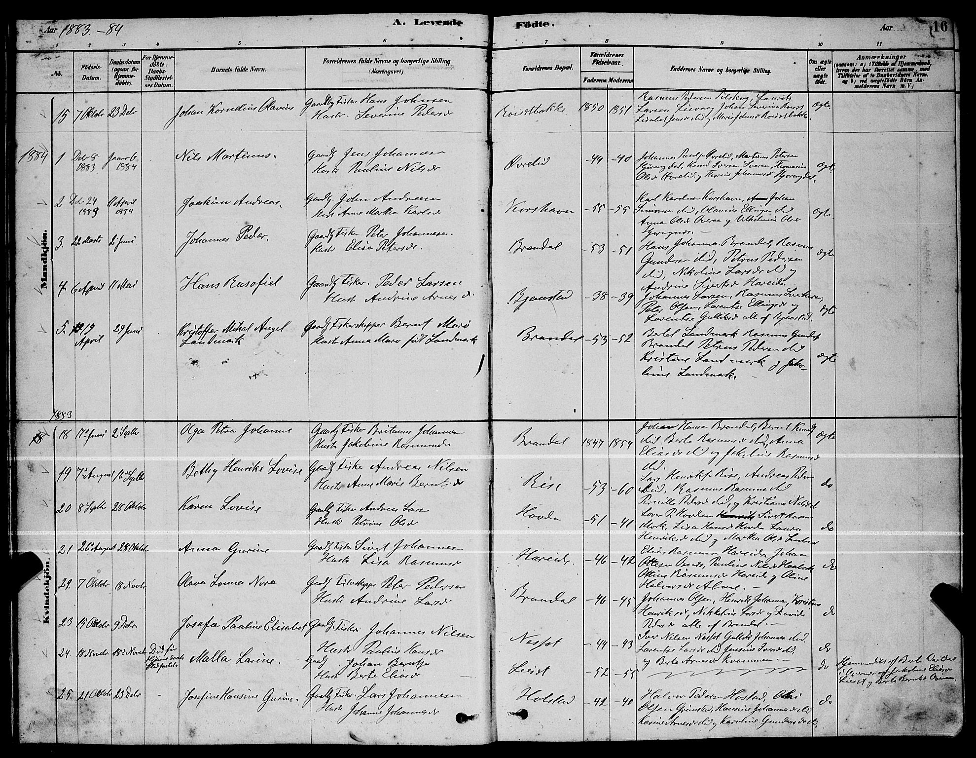 Ministerialprotokoller, klokkerbøker og fødselsregistre - Møre og Romsdal, AV/SAT-A-1454/510/L0125: Parish register (copy) no. 510C02, 1878-1900, p. 16