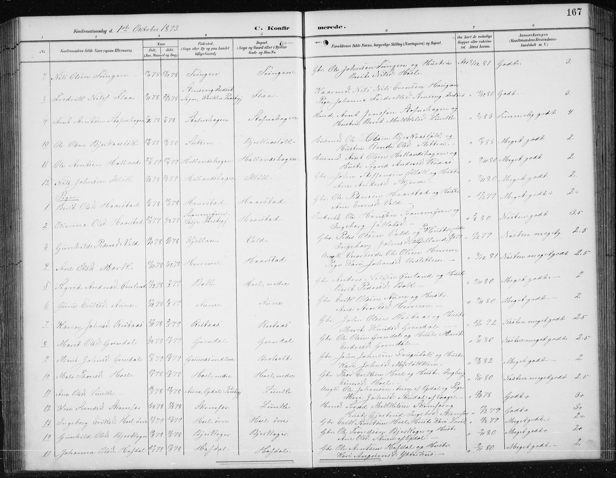 Ministerialprotokoller, klokkerbøker og fødselsregistre - Sør-Trøndelag, SAT/A-1456/674/L0876: Parish register (copy) no. 674C03, 1892-1912, p. 167