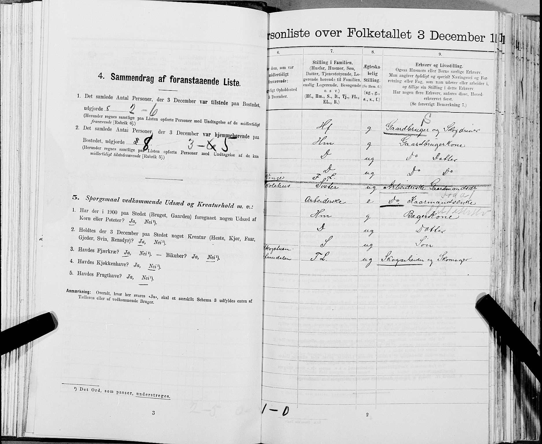 SAT, 1900 census for Snåsa, 1900, p. 719