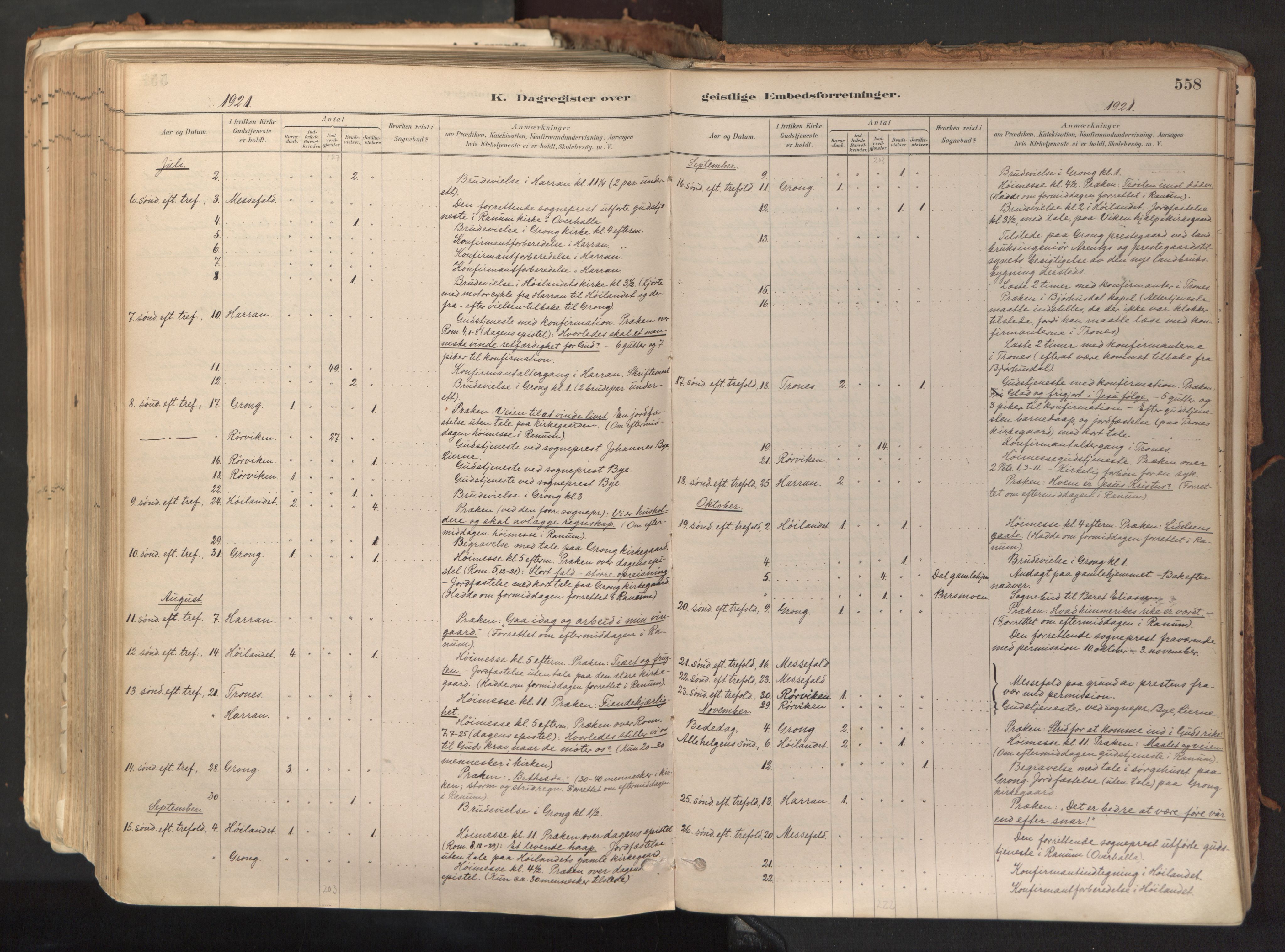 Ministerialprotokoller, klokkerbøker og fødselsregistre - Nord-Trøndelag, SAT/A-1458/758/L0519: Parish register (official) no. 758A04, 1880-1926, p. 558