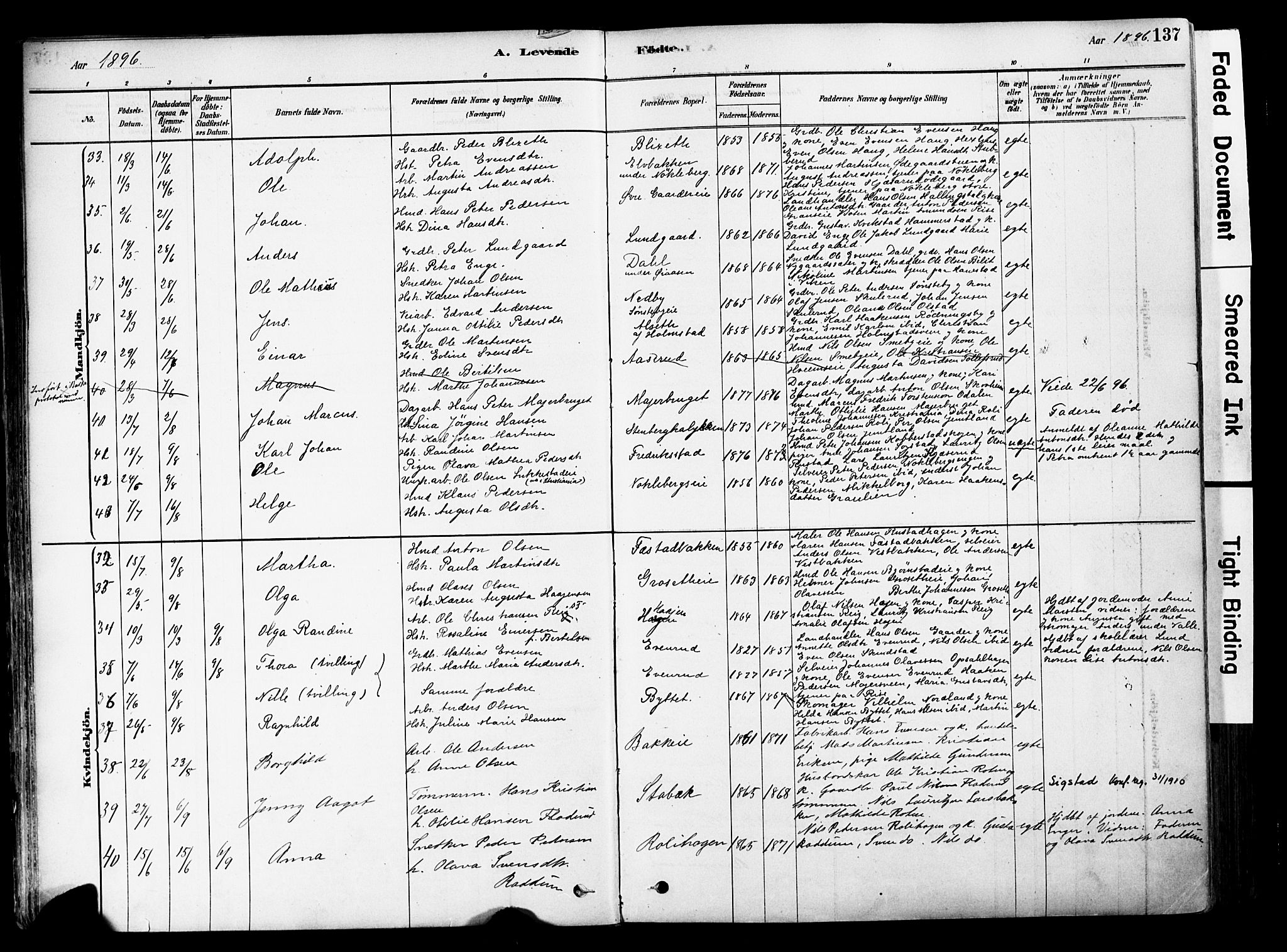 Østre Toten prestekontor, AV/SAH-PREST-104/H/Ha/Haa/L0006: Parish register (official) no. 6 /1, 1878-1896, p. 137