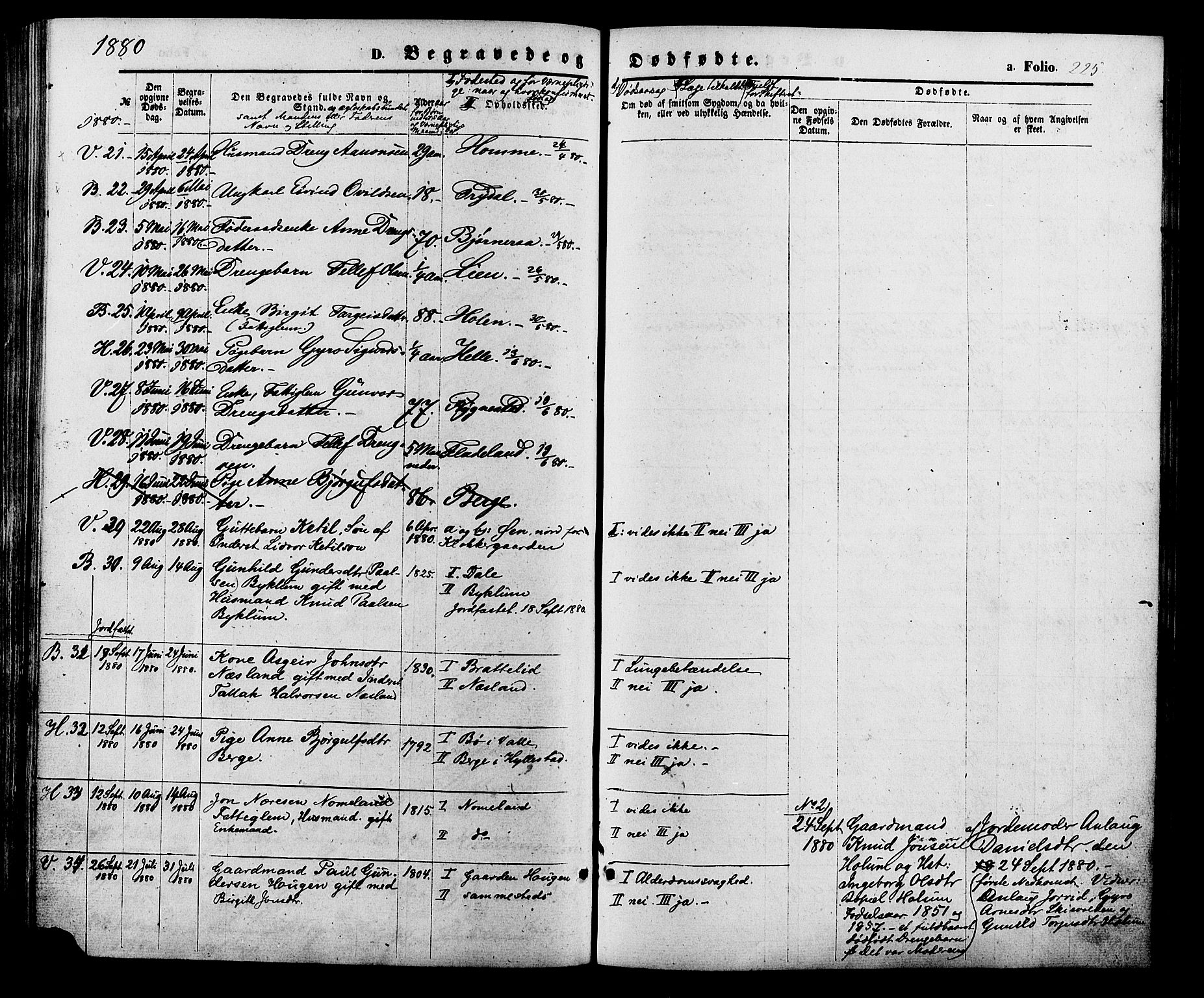 Valle sokneprestkontor, AV/SAK-1111-0044/F/Fa/Fac/L0008: Parish register (official) no. A 8, 1868-1882, p. 225