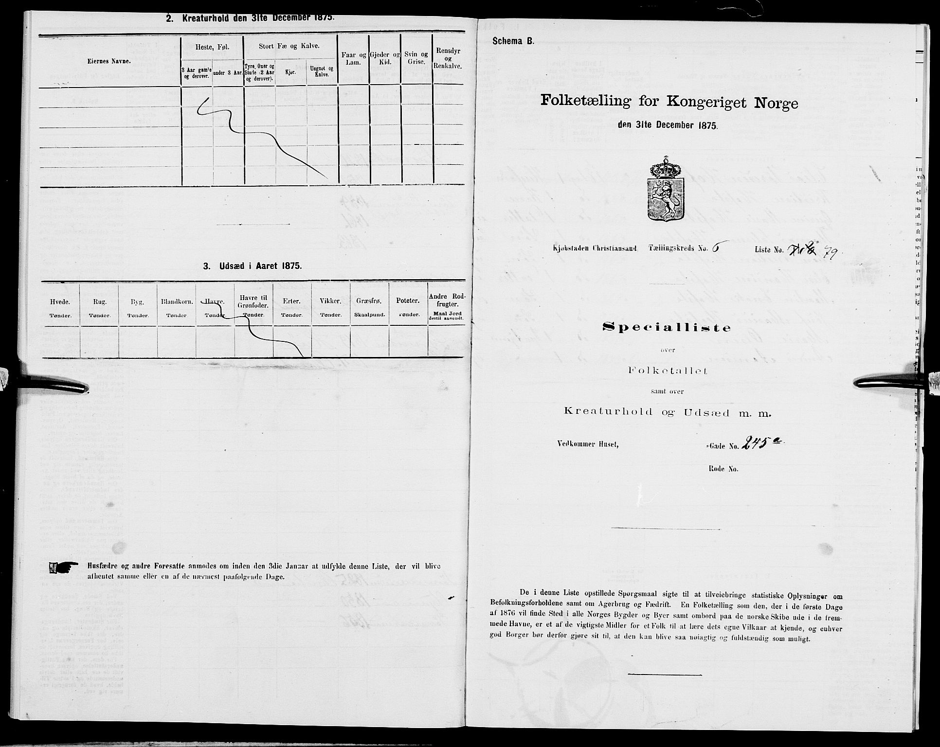 SAK, 1875 census for 1001P Kristiansand, 1875, p. 919