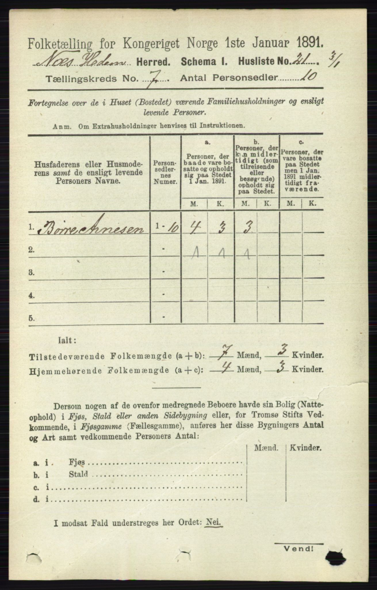 RA, 1891 census for 0411 Nes, 1891, p. 3849