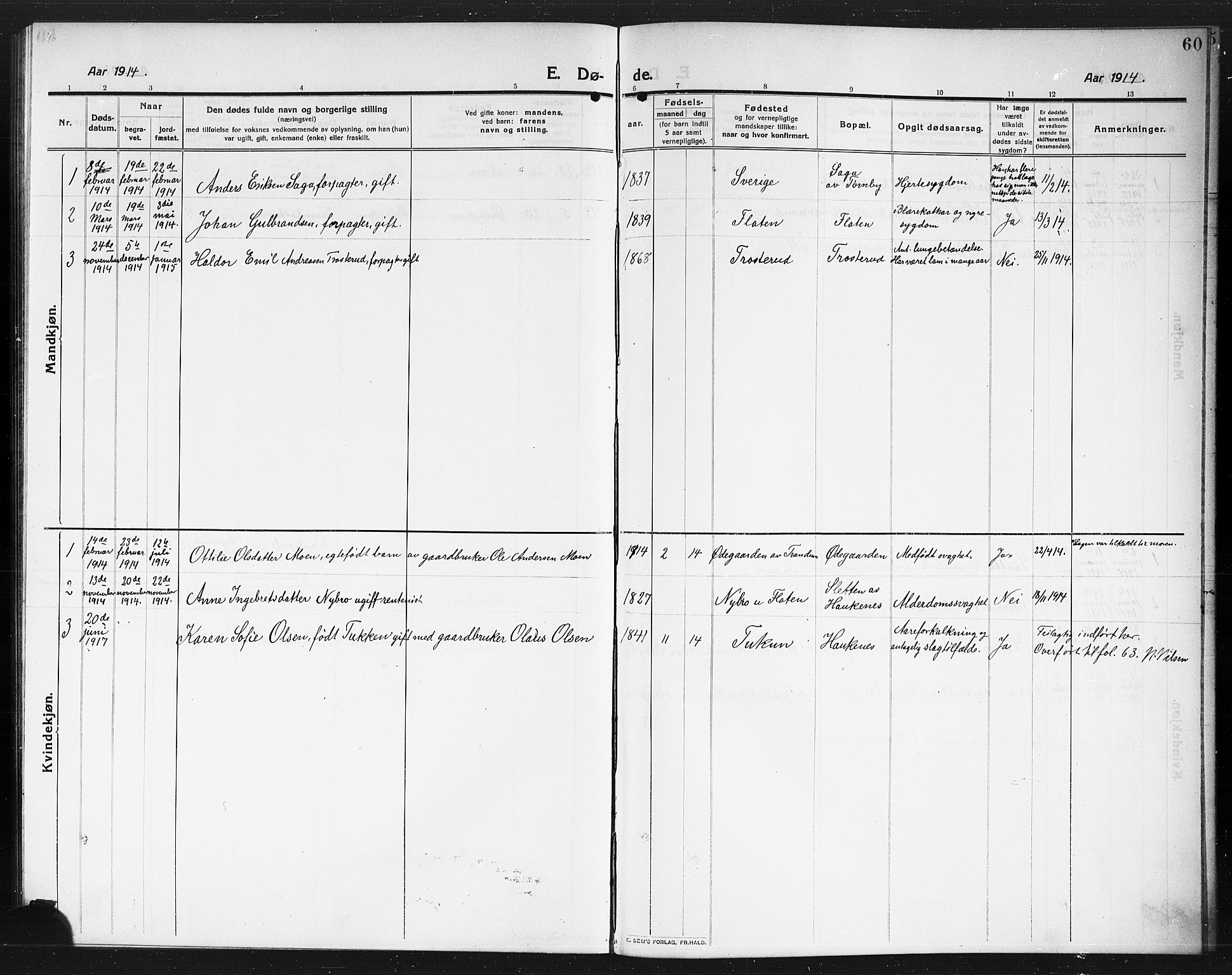 Rødenes prestekontor Kirkebøker, AV/SAO-A-2005/G/Gb/L0002: Parish register (copy) no. II 2, 1911-1921, p. 60