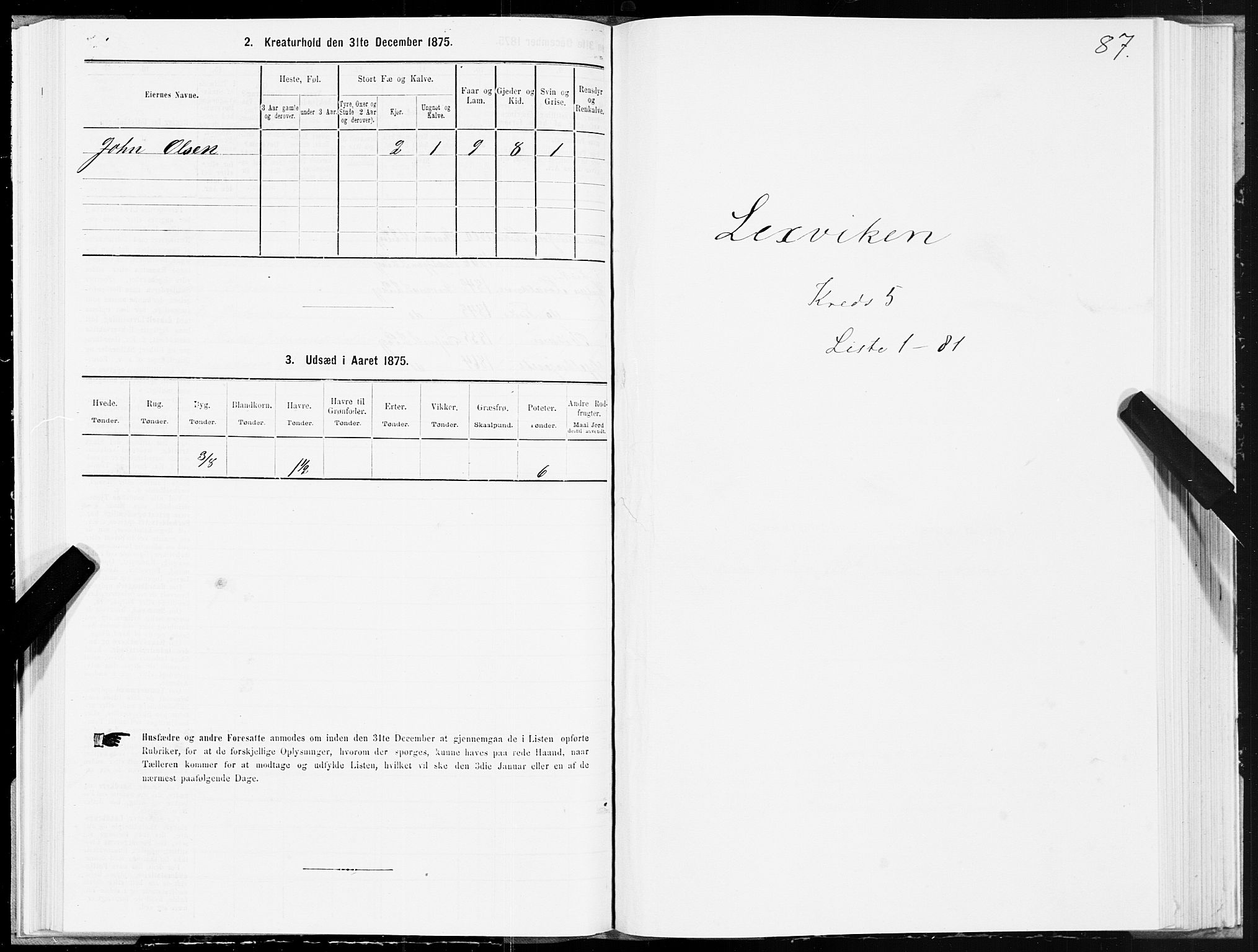 SAT, 1875 census for 1718P Leksvik, 1875, p. 3087