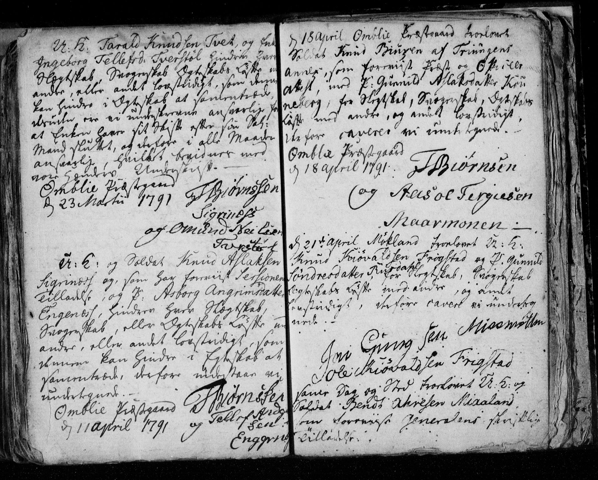 Åmli sokneprestkontor, AV/SAK-1111-0050/F/Fe/L0001: Best man's statements no. A VI 40, 1754-1799