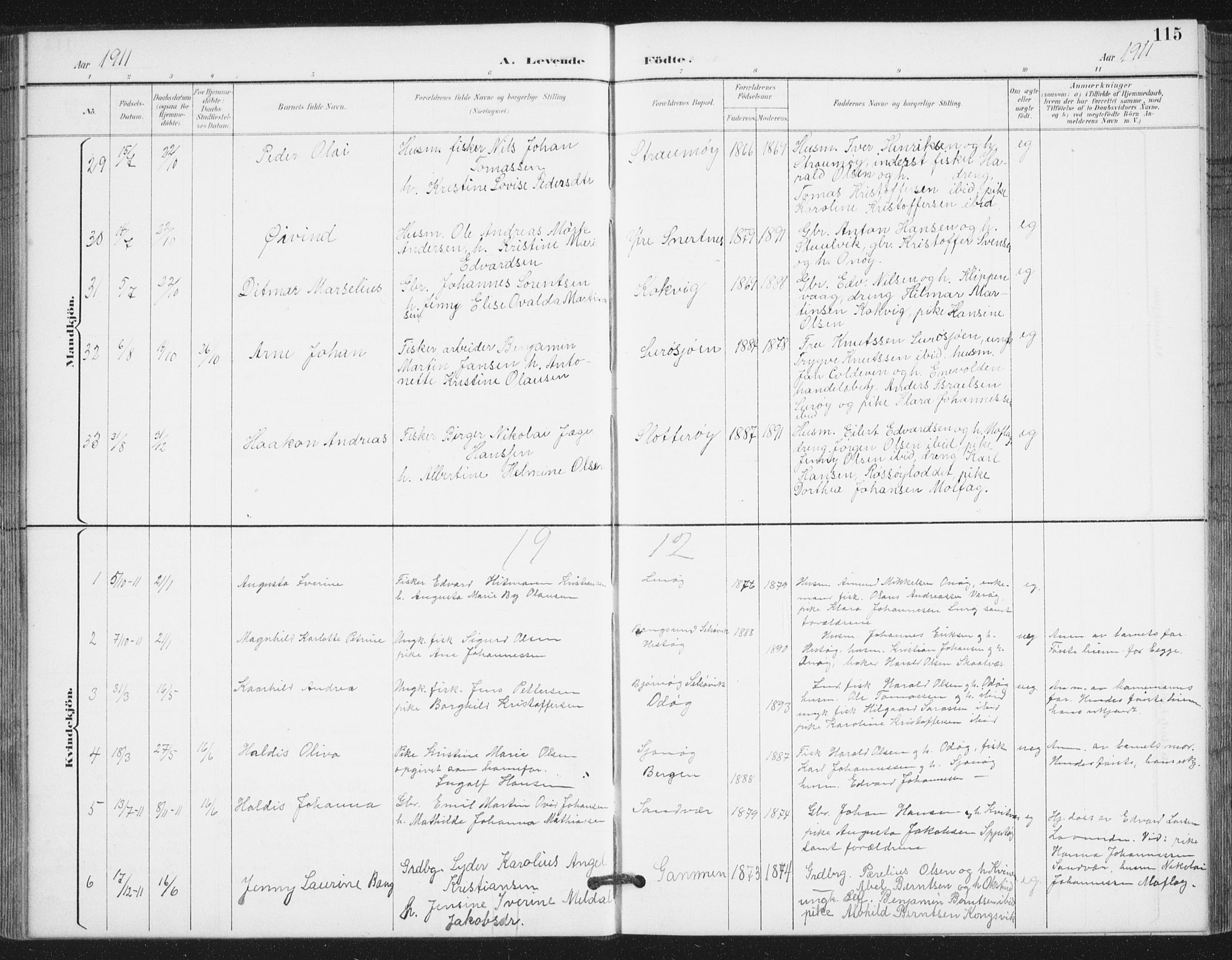 Ministerialprotokoller, klokkerbøker og fødselsregistre - Nordland, SAT/A-1459/839/L0573: Parish register (copy) no. 839C03, 1892-1917, p. 115