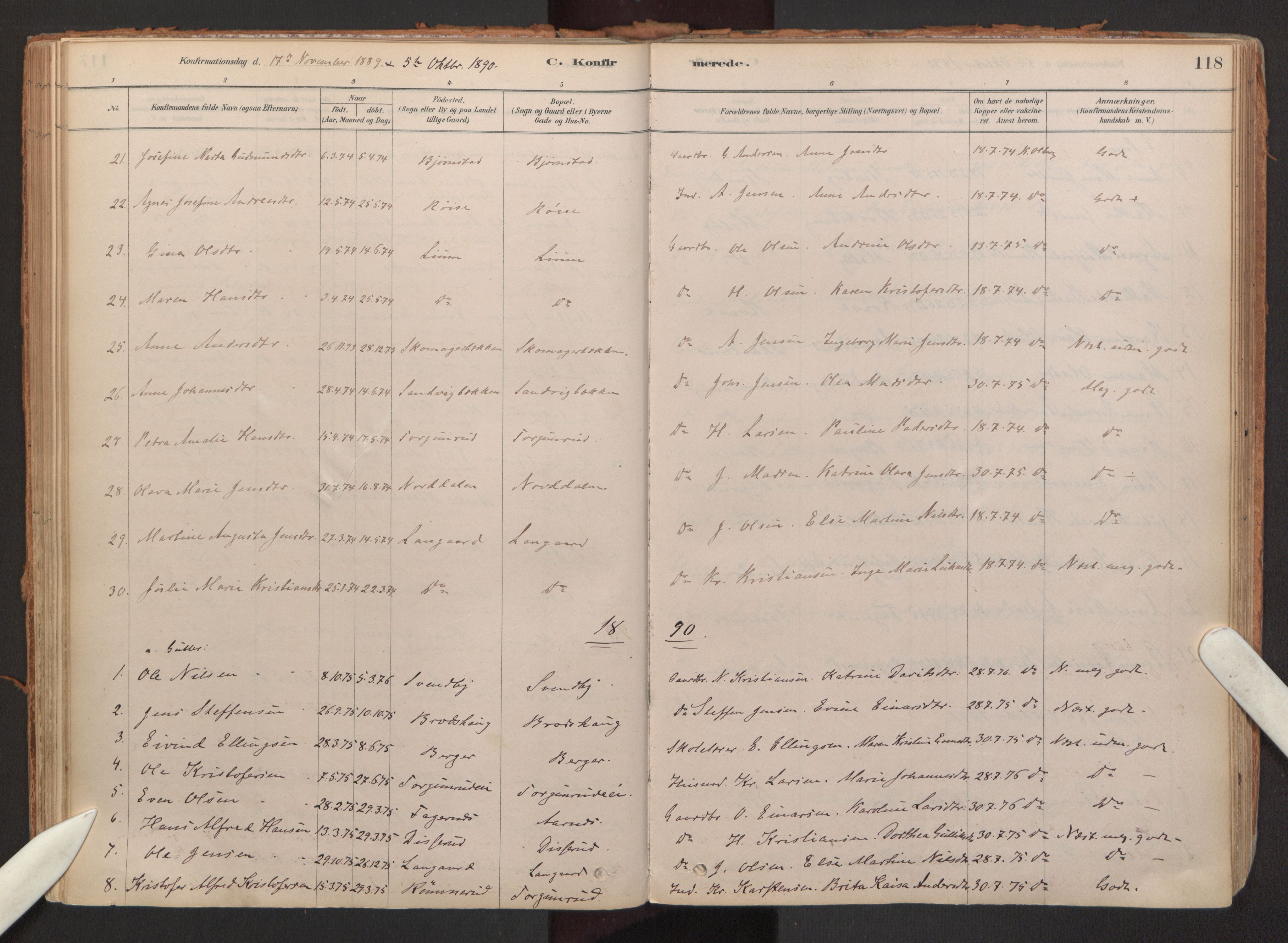 Hurdal prestekontor Kirkebøker, SAO/A-10889/F/Fb/L0003: Parish register (official) no. II 3, 1878-1920, p. 118