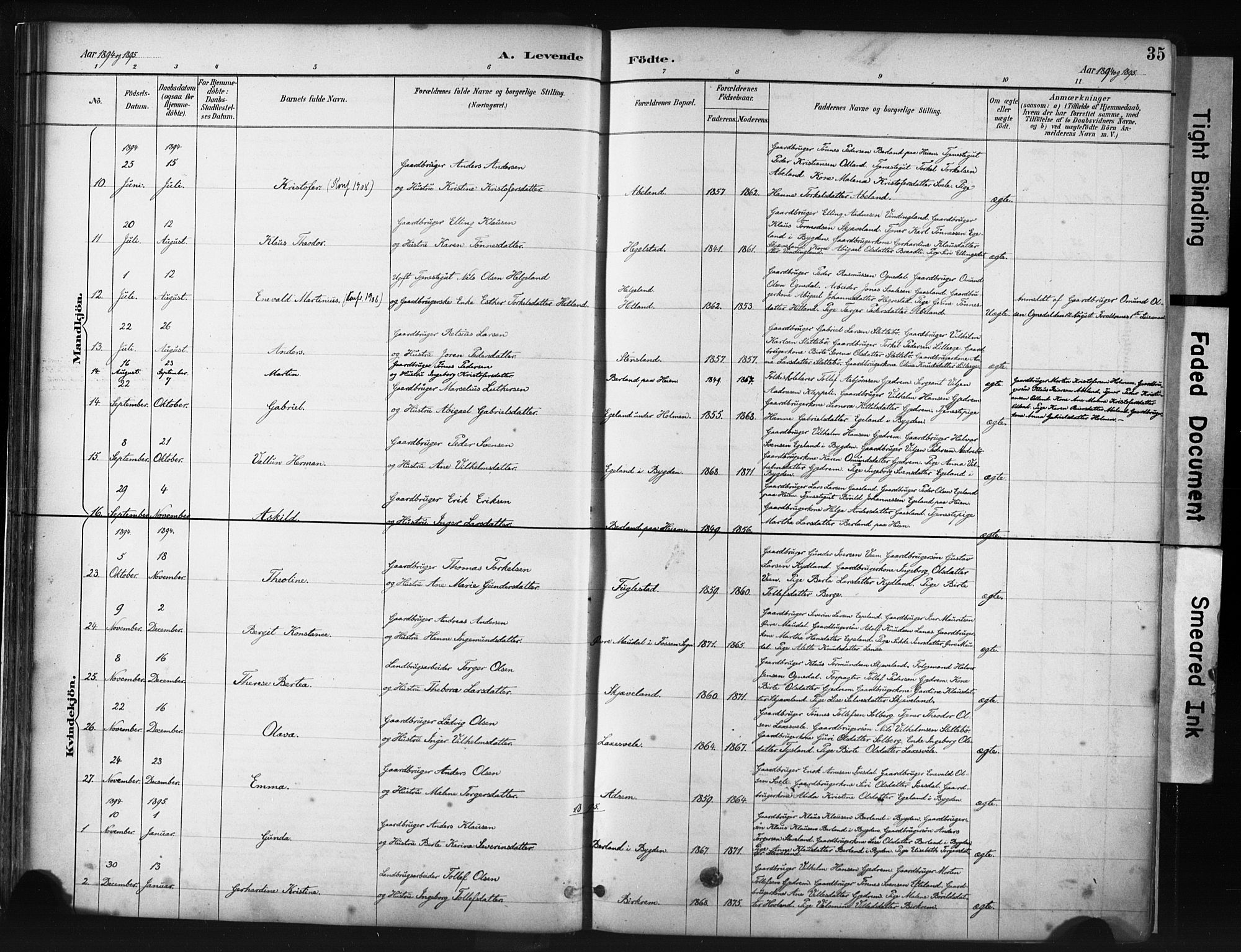 Helleland sokneprestkontor, AV/SAST-A-101810: Parish register (official) no. A 9, 1887-1908, p. 35