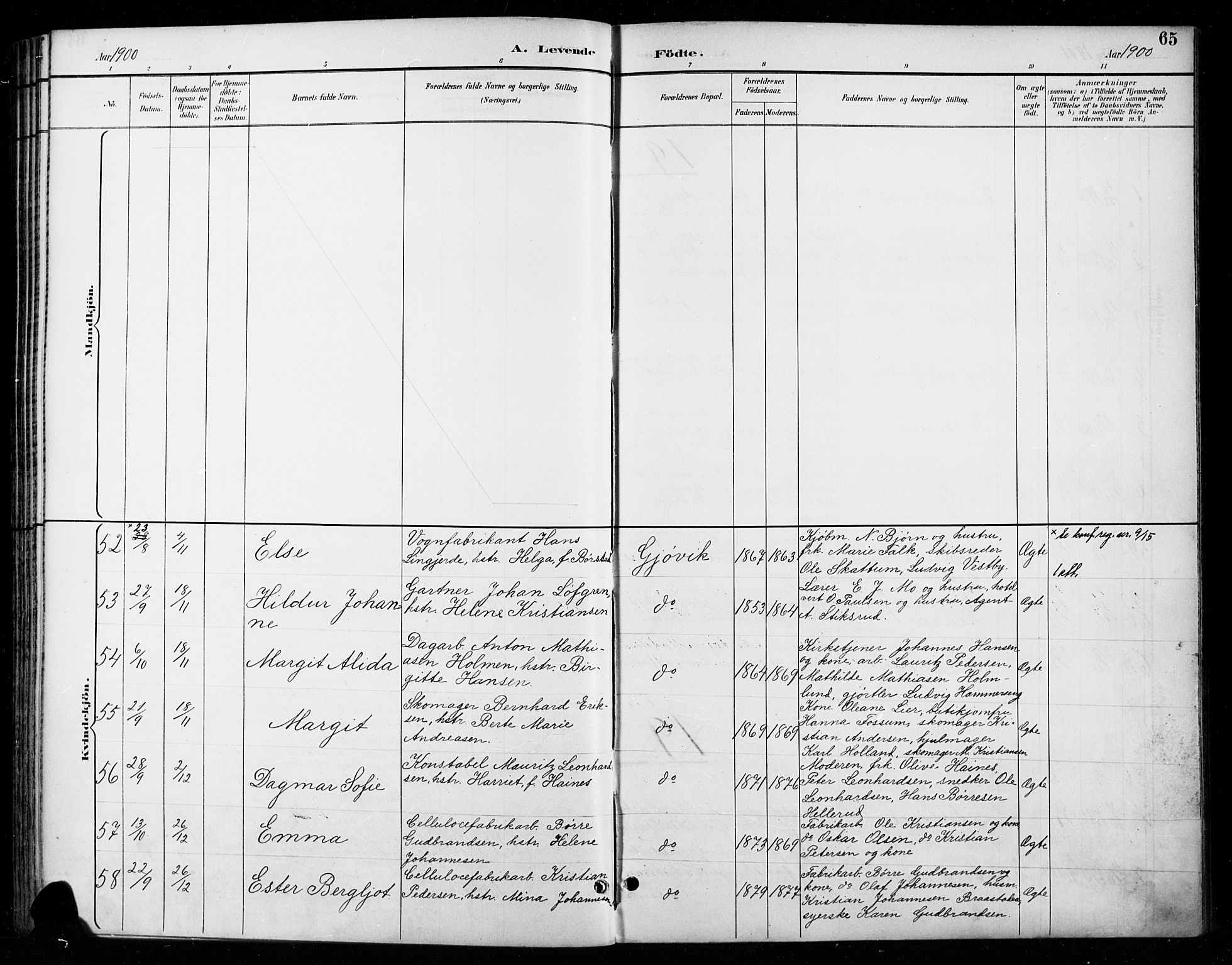 Vardal prestekontor, AV/SAH-PREST-100/H/Ha/Haa/L0011: Parish register (official) no. 11, 1891-1901, p. 65