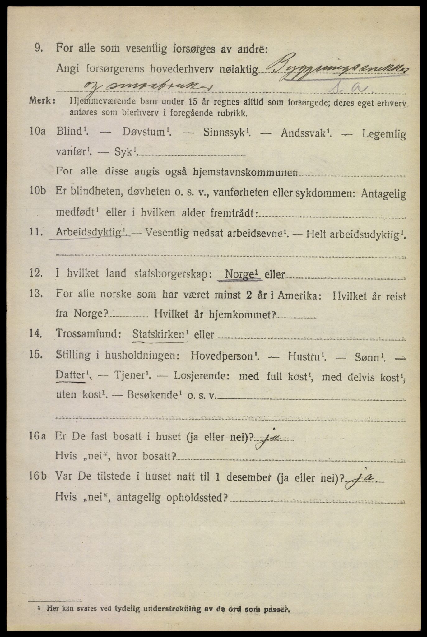 SAKO, 1920 census for Rauland, 1920, p. 809