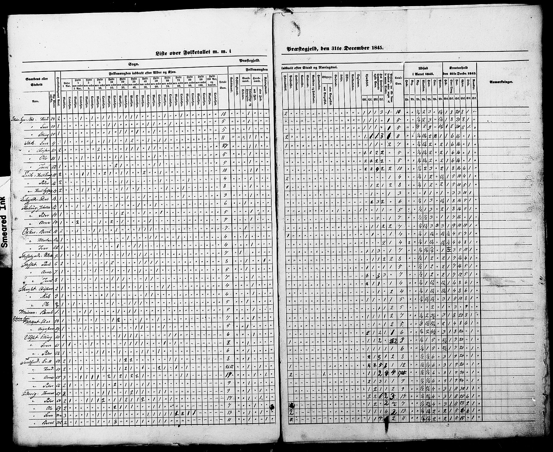 SAT, Census 1845 for Borgund, 1845, p. 43