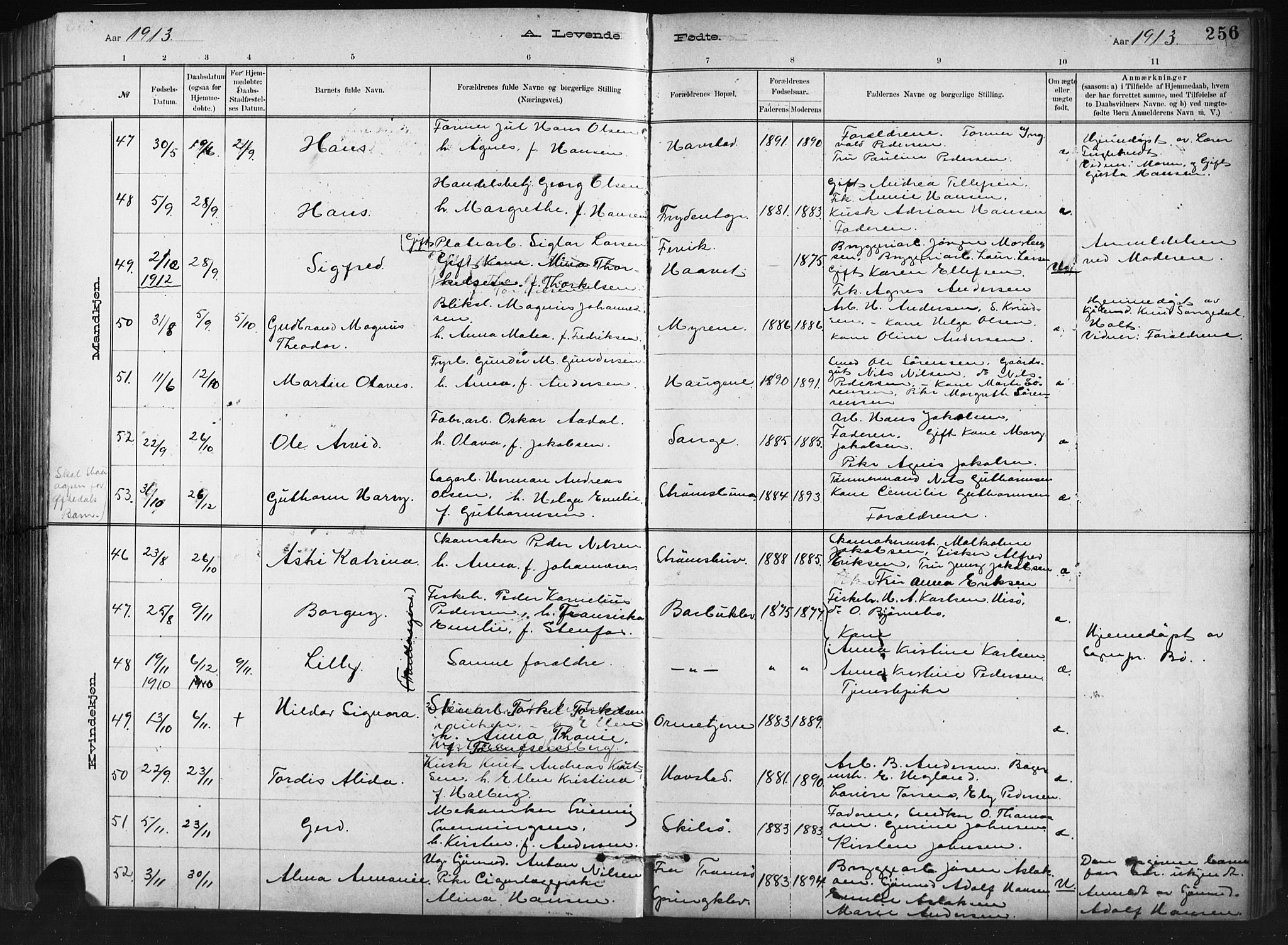 Barbu sokneprestkontor, AV/SAK-1111-0003/F/Fb/L0002: Parish register (copy) no. B 2, 1890-1922, p. 256