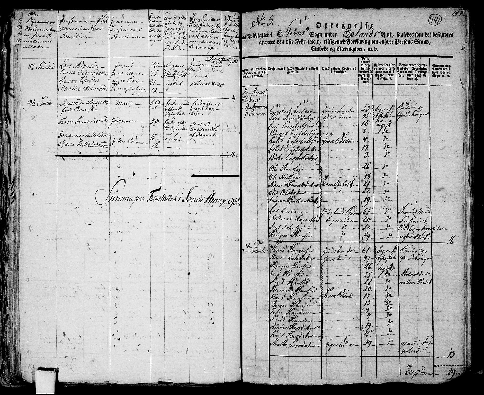 RA, 1801 census for 0419P Strøm, 1801, p. 440b-441a