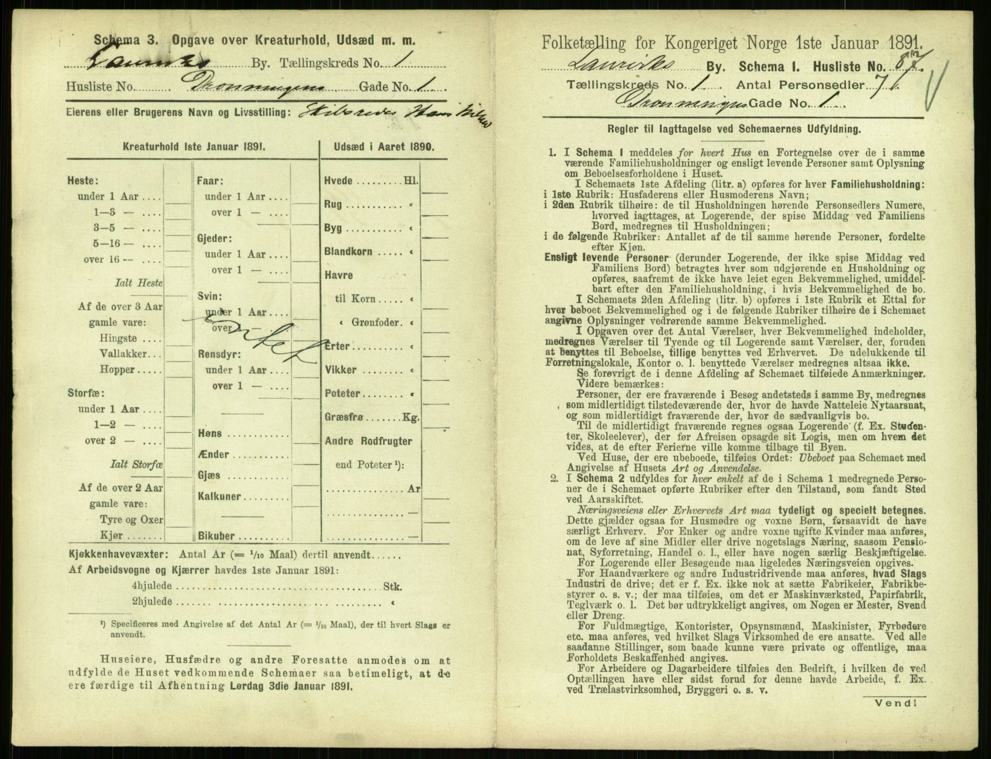 RA, 1891 census for 0707 Larvik, 1891, p. 217