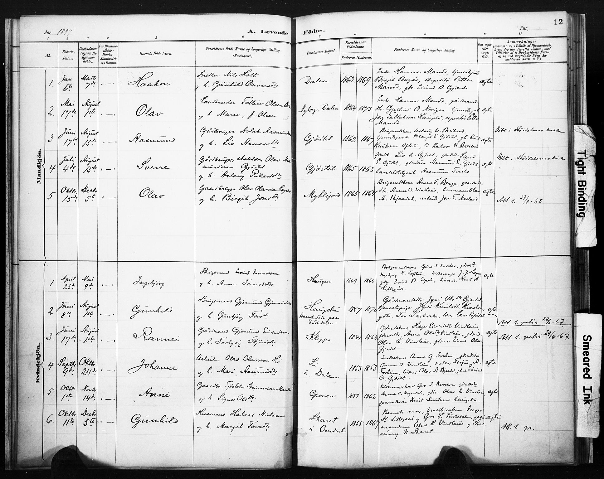 Lårdal kirkebøker, SAKO/A-284/F/Fb/L0002: Parish register (official) no. II 2, 1887-1918, p. 12