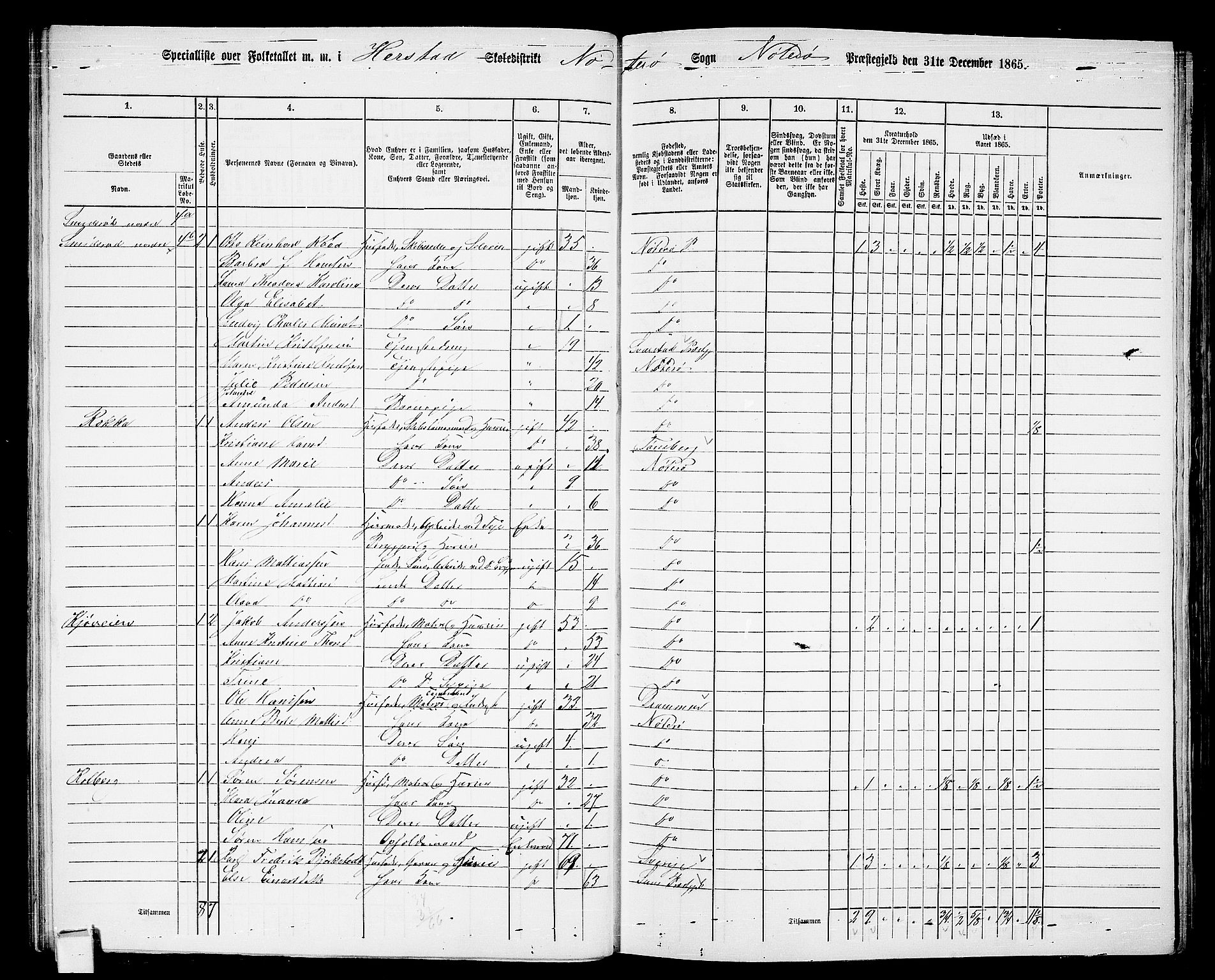 RA, 1865 census for Nøtterøy, 1865, p. 41