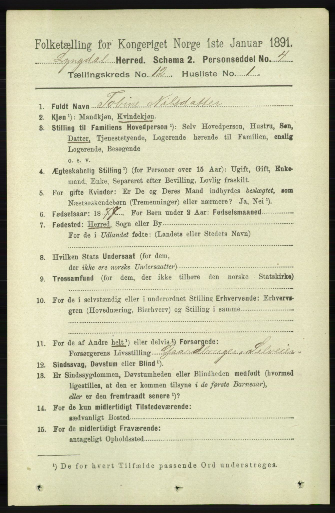 RA, 1891 census for 1032 Lyngdal, 1891, p. 5260