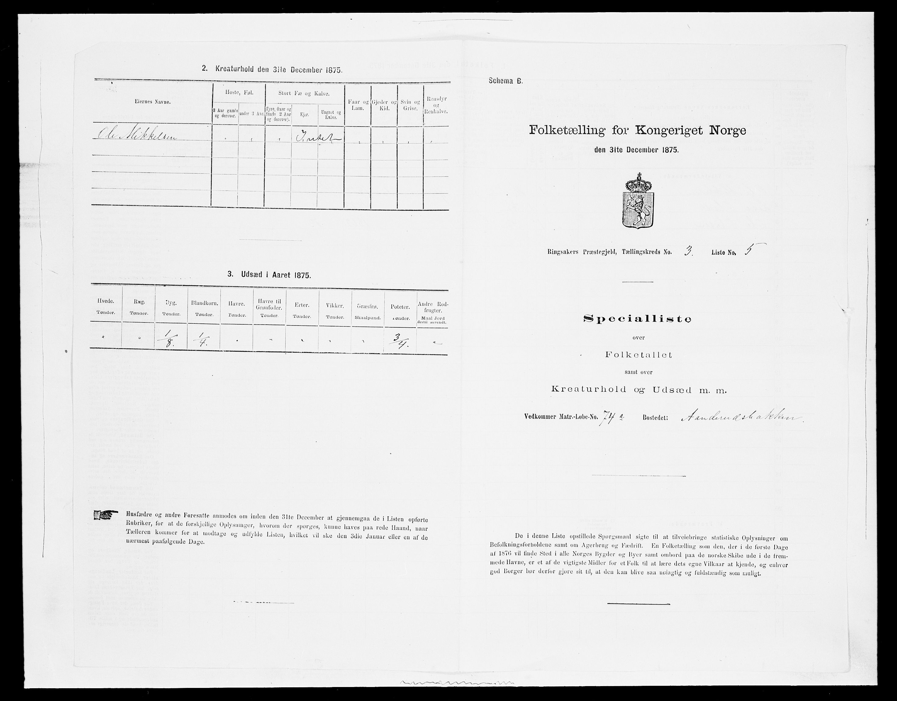 SAH, 1875 census for 0412P Ringsaker, 1875, p. 623