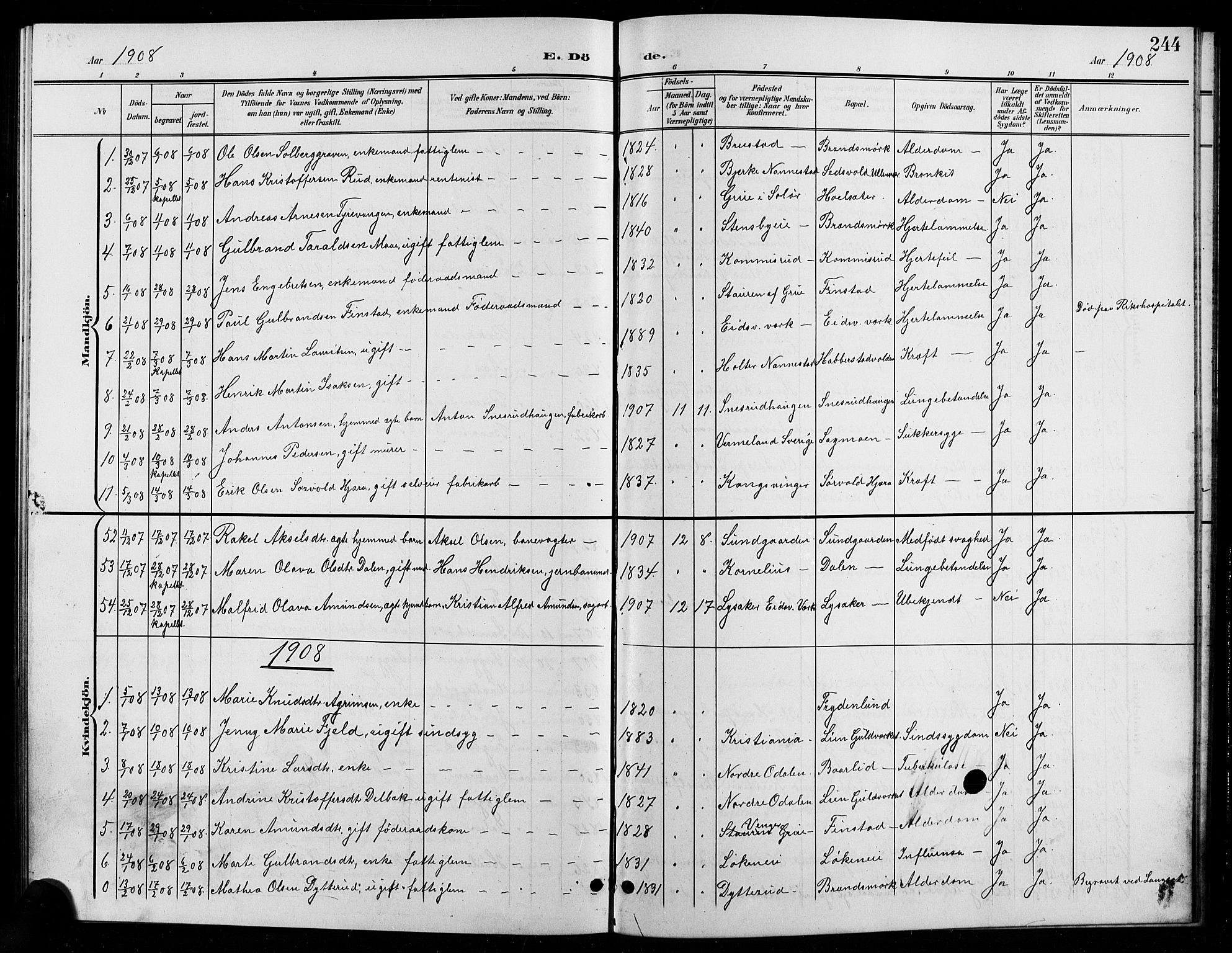 Eidsvoll prestekontor Kirkebøker, SAO/A-10888/G/Ga/L0007: Parish register (copy) no. I 7, 1901-1909, p. 244