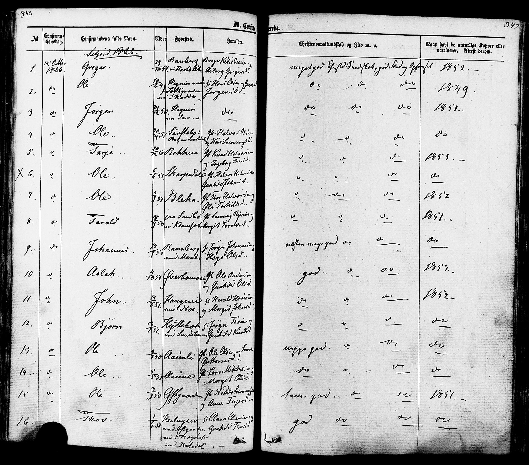 Seljord kirkebøker, AV/SAKO-A-20/F/Fa/L0013: Parish register (official) no. I 13, 1866-1876, p. 346-347