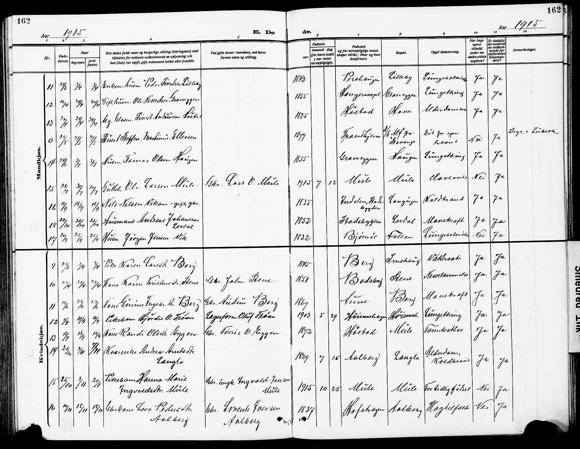 Ministerialprotokoller, klokkerbøker og fødselsregistre - Sør-Trøndelag, AV/SAT-A-1456/612/L0388: Parish register (copy) no. 612C04, 1909-1929, p. 162