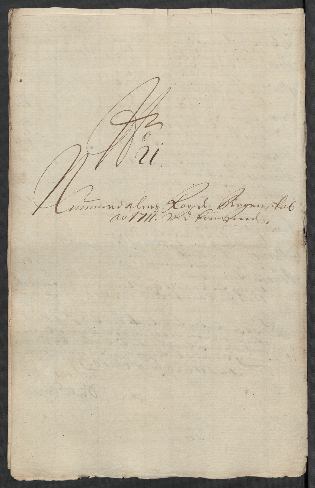 Rentekammeret inntil 1814, Reviderte regnskaper, Fogderegnskap, AV/RA-EA-4092/R64/L4432: Fogderegnskap Namdal, 1711, p. 376