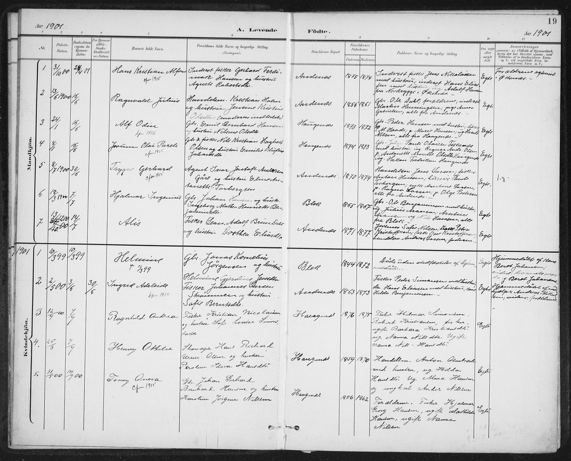 Ministerialprotokoller, klokkerbøker og fødselsregistre - Nordland, AV/SAT-A-1459/899/L1437: Parish register (official) no. 899A05, 1897-1908, p. 19