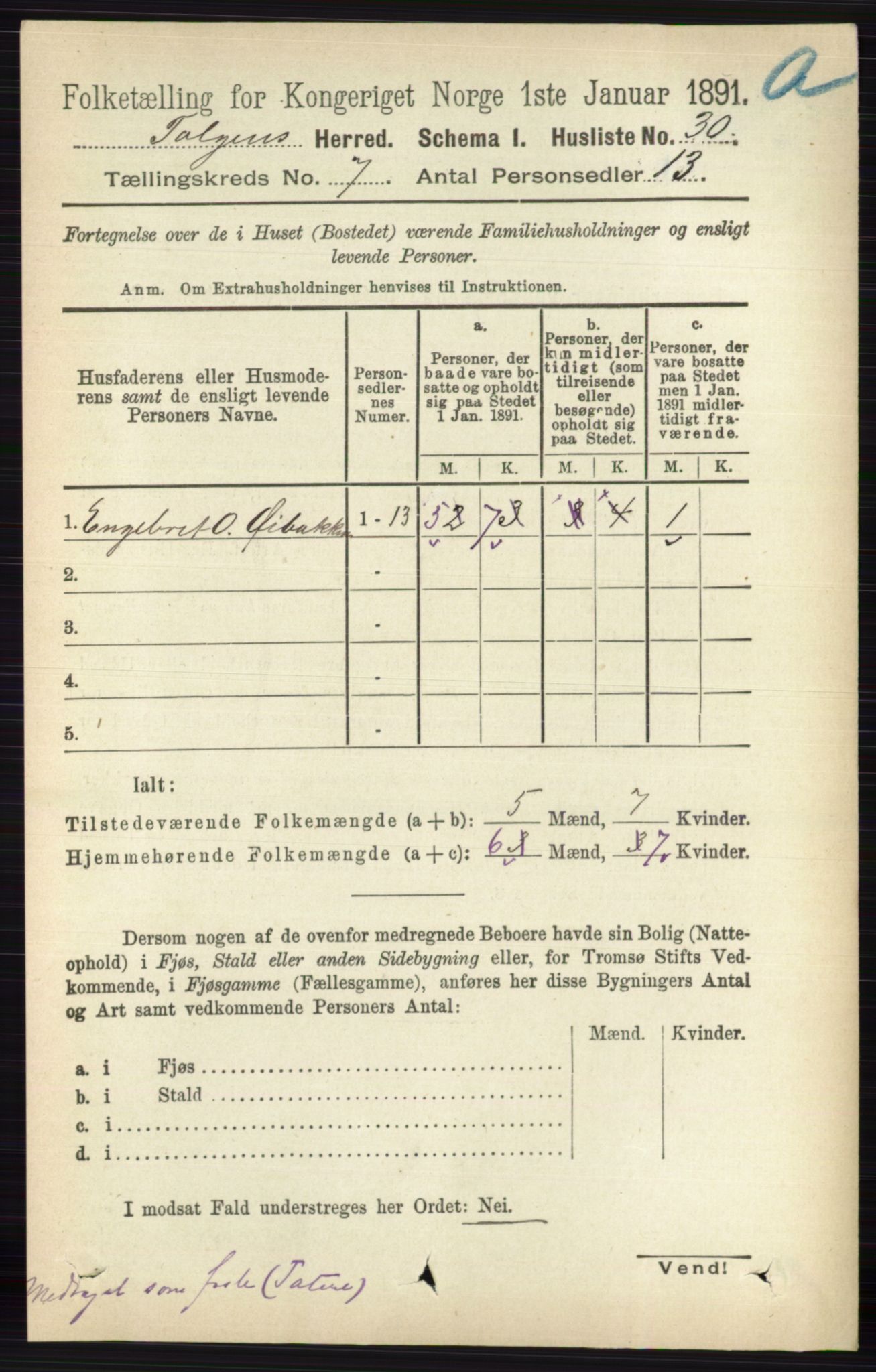 RA, 1891 census for 0436 Tolga, 1891, p. 2017