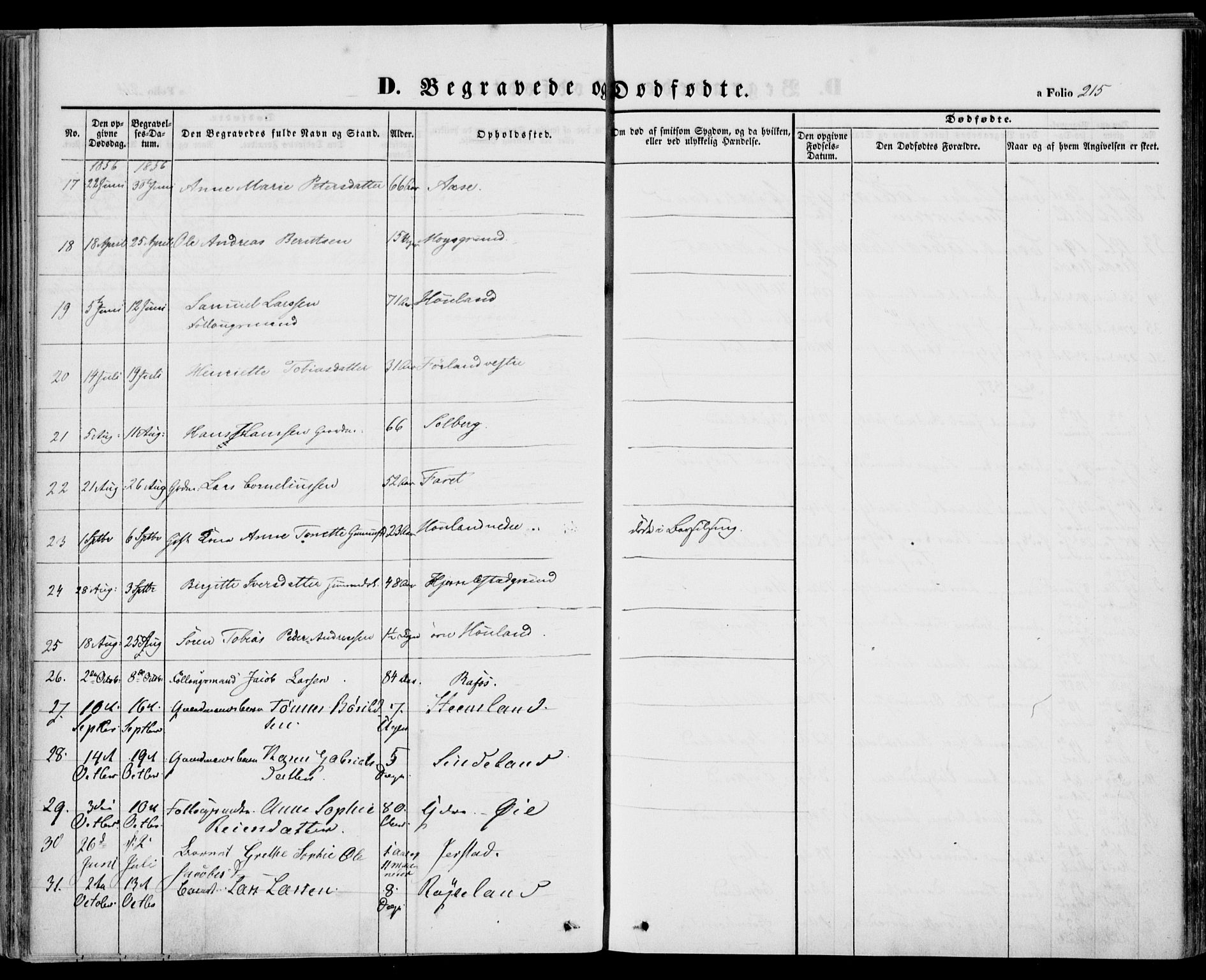 Kvinesdal sokneprestkontor, SAK/1111-0026/F/Fa/Fab/L0005: Parish register (official) no. A 5, 1844-1857, p. 215
