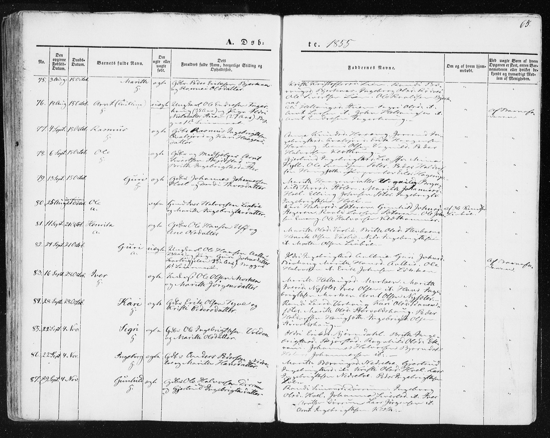Ministerialprotokoller, klokkerbøker og fødselsregistre - Sør-Trøndelag, AV/SAT-A-1456/678/L0899: Parish register (official) no. 678A08, 1848-1872, p. 65