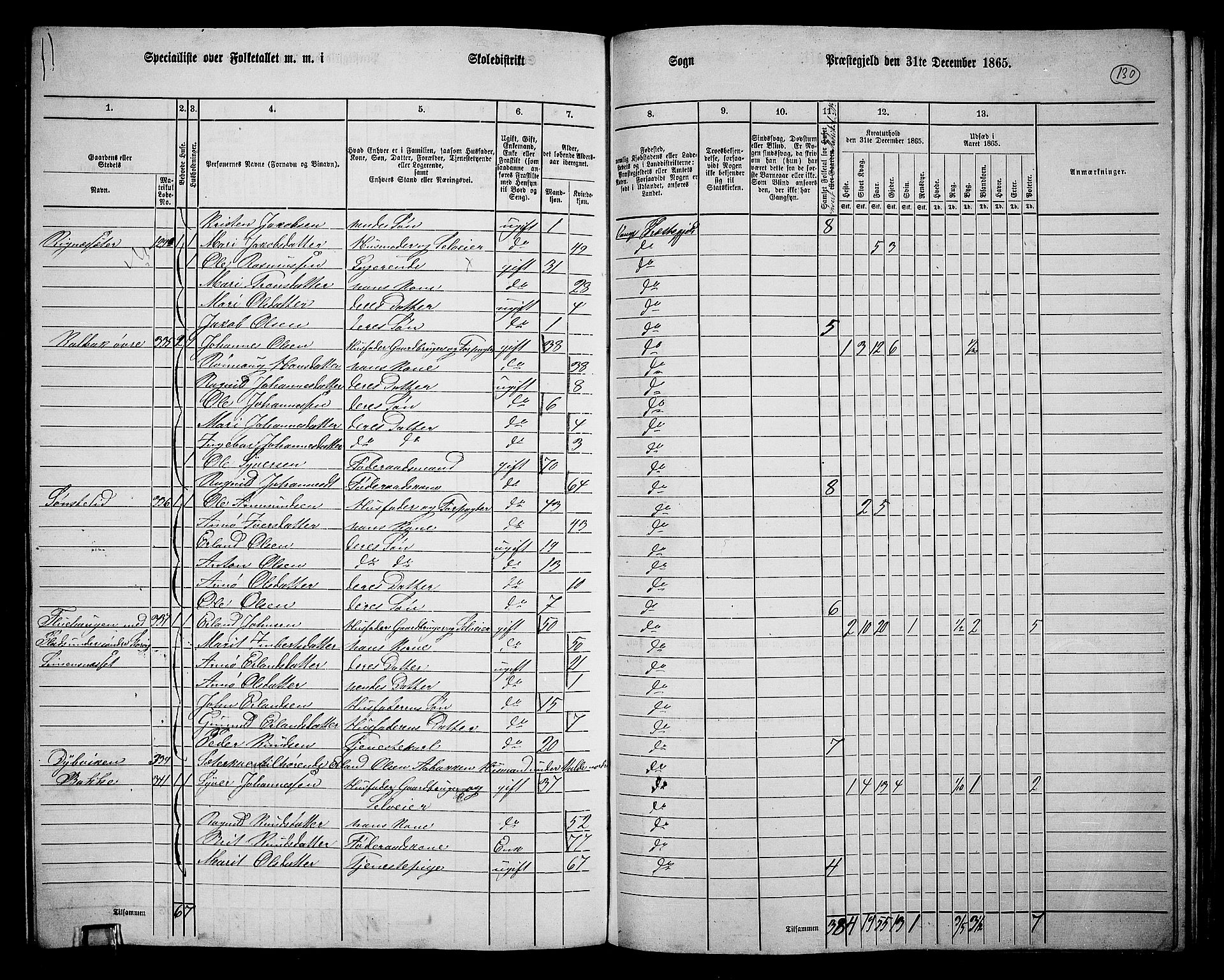 RA, 1865 census for Vågå, 1865, p. 120