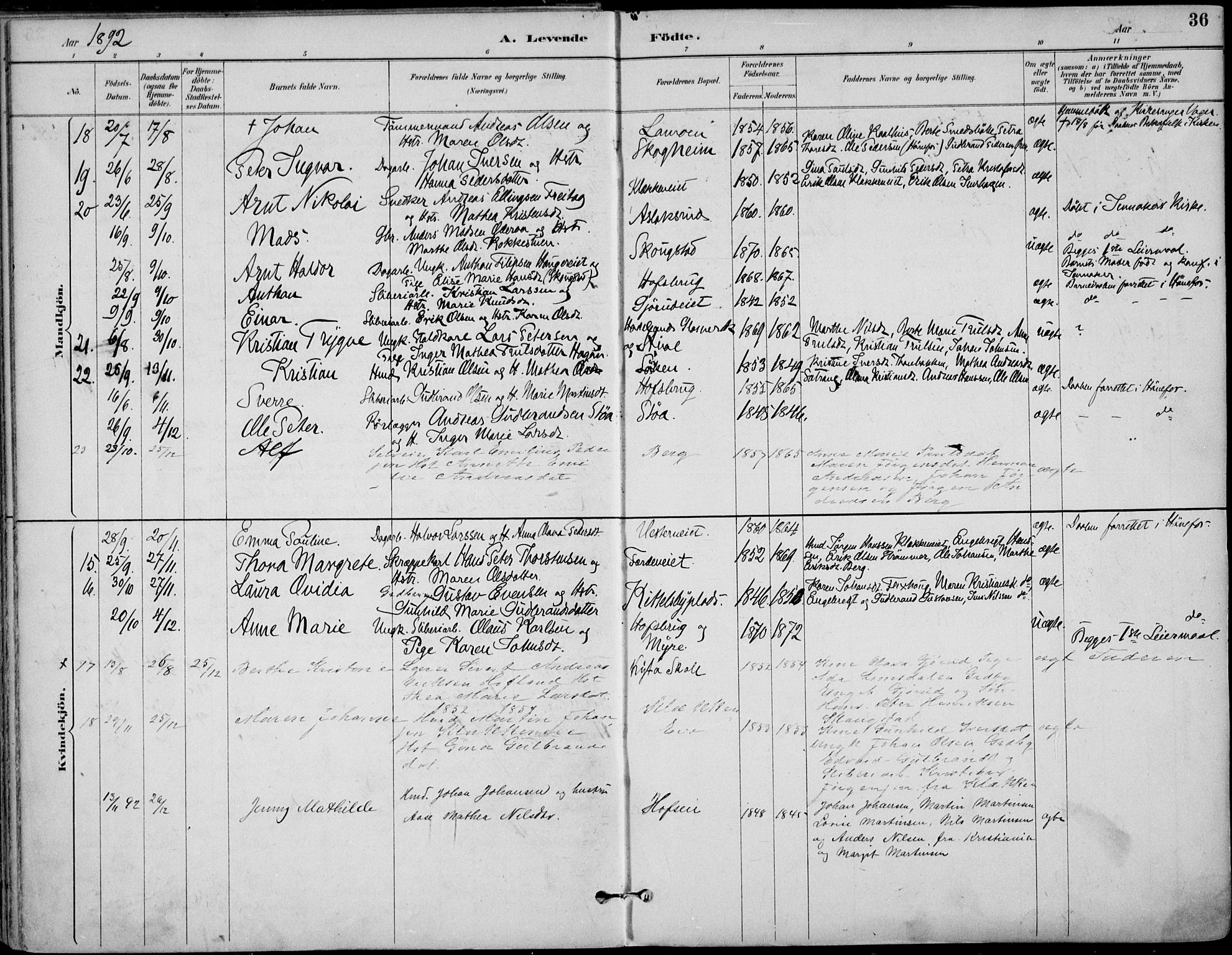 Haug kirkebøker, AV/SAKO-A-604/F/Fa/L0001: Parish register (official) no. 1, 1885-1917, p. 36