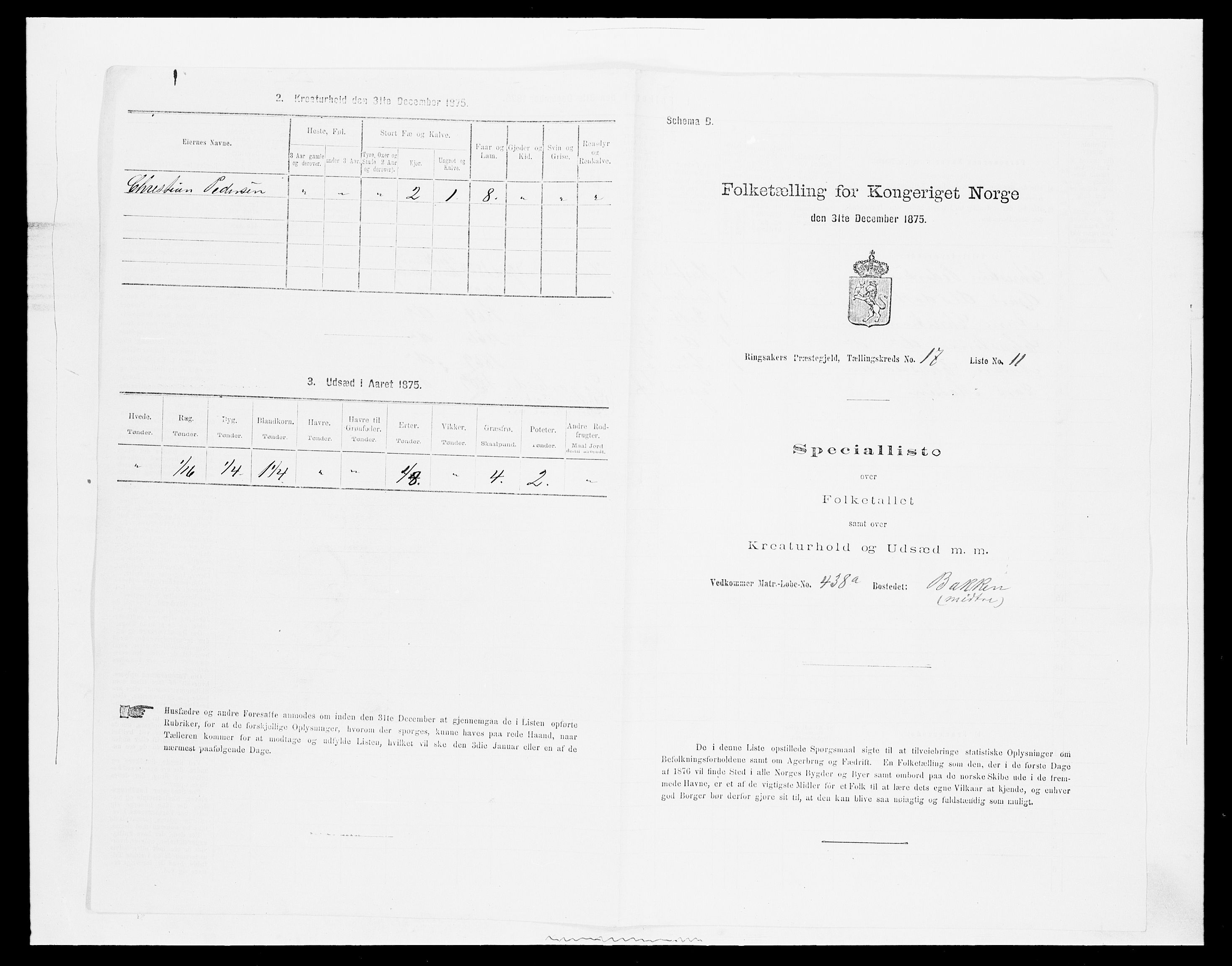 SAH, 1875 census for 0412P Ringsaker, 1875, p. 3411