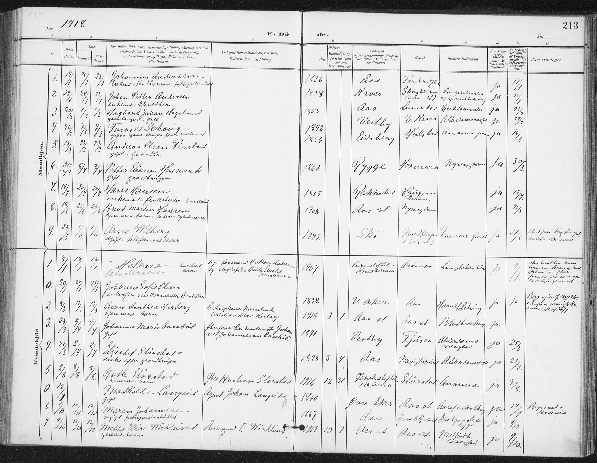Ås prestekontor Kirkebøker, SAO/A-10894/F/Fa/L0010: Parish register (official) no. I 10, 1900-1918, p. 213