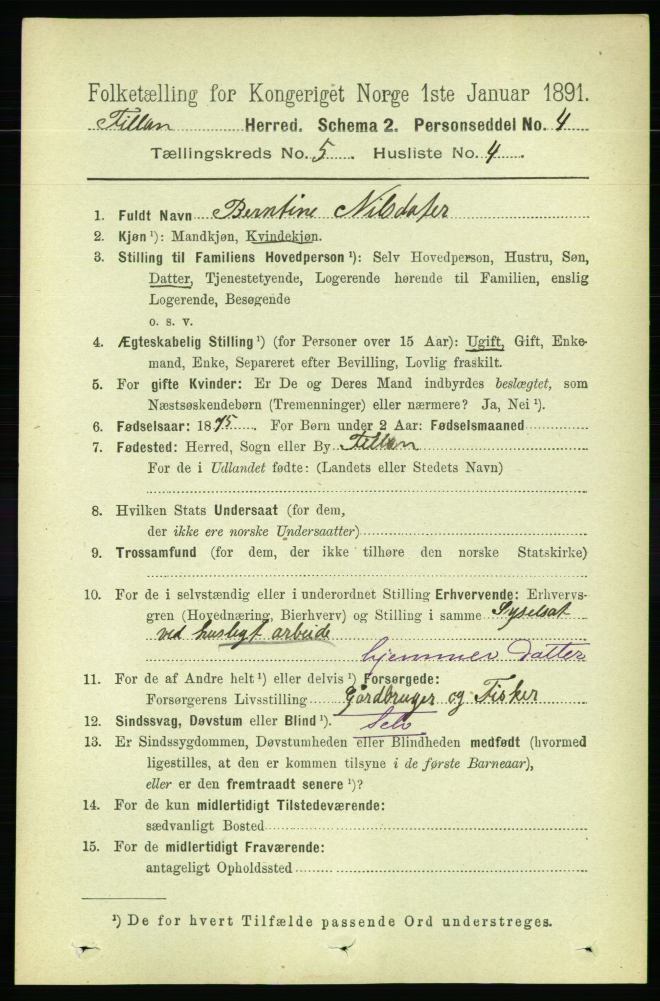 RA, 1891 census for 1616 Fillan, 1891, p. 1015