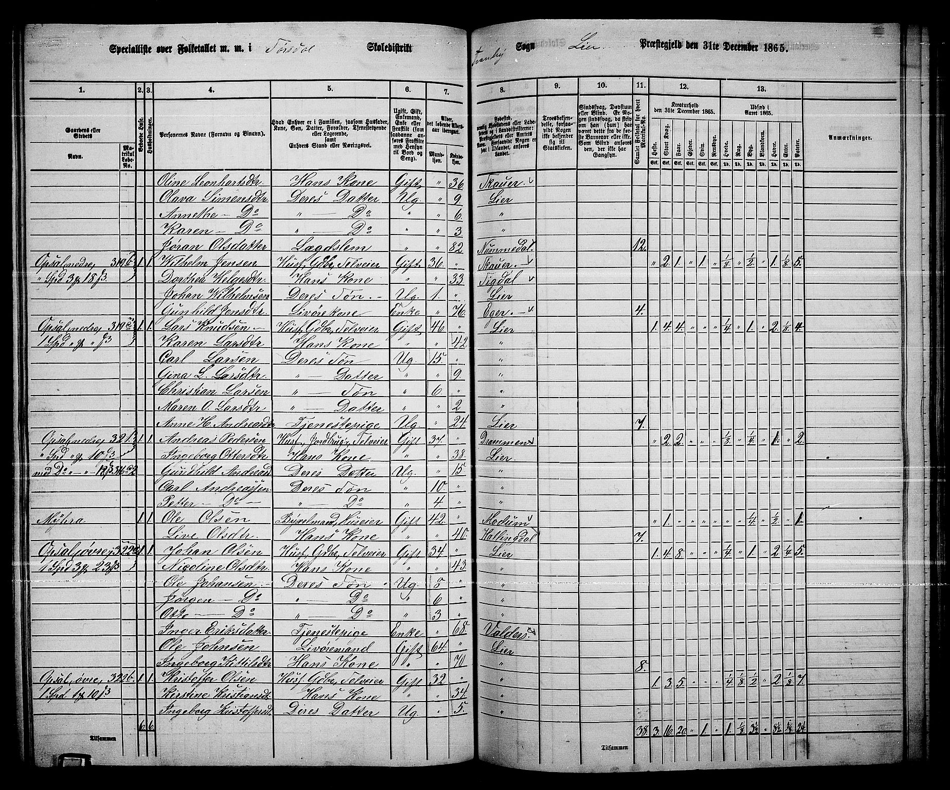 RA, 1865 census for Lier, 1865, p. 174