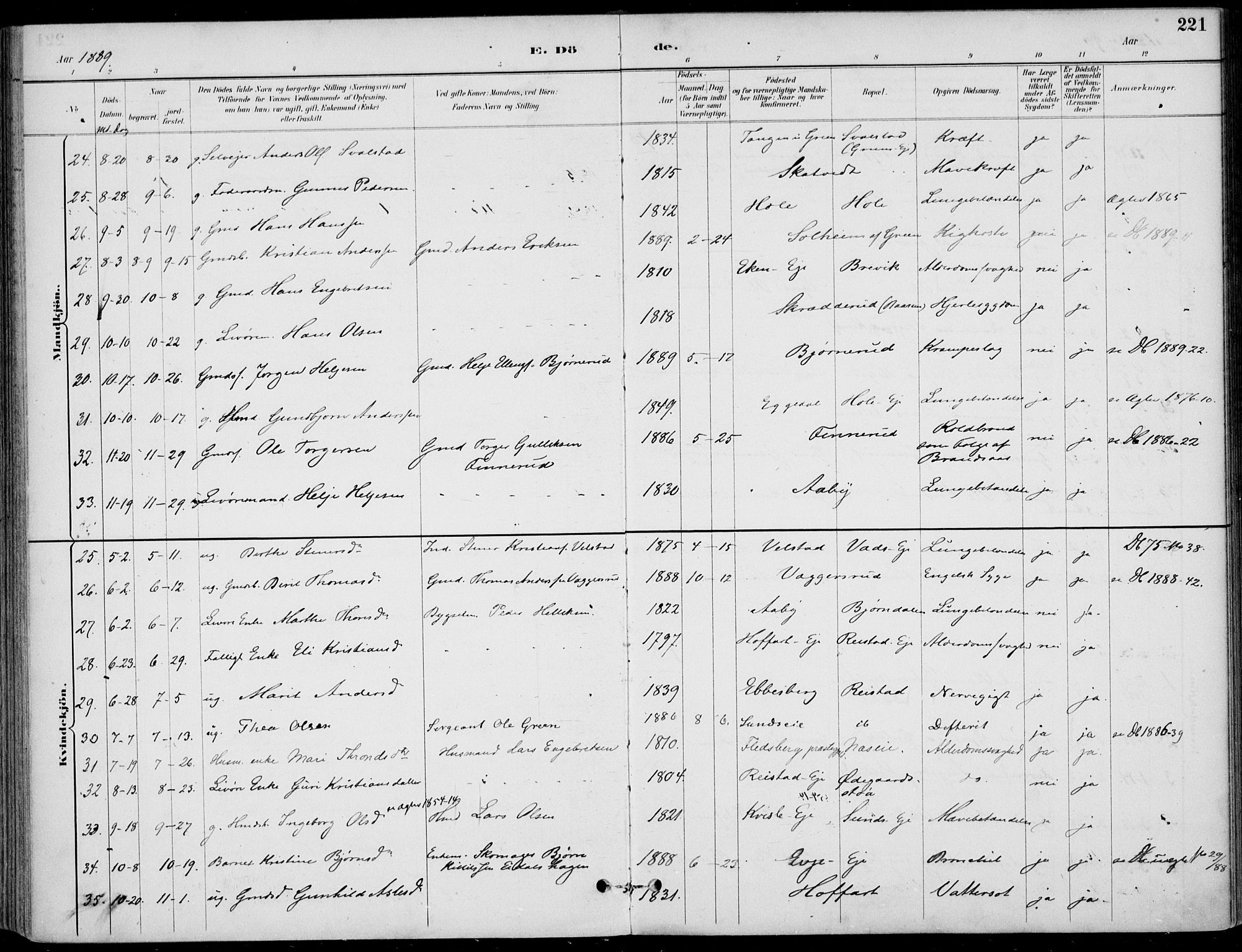 Sigdal kirkebøker, SAKO/A-245/F/Fb/L0001: Parish register (official) no. II 1, 1888-1900, p. 221