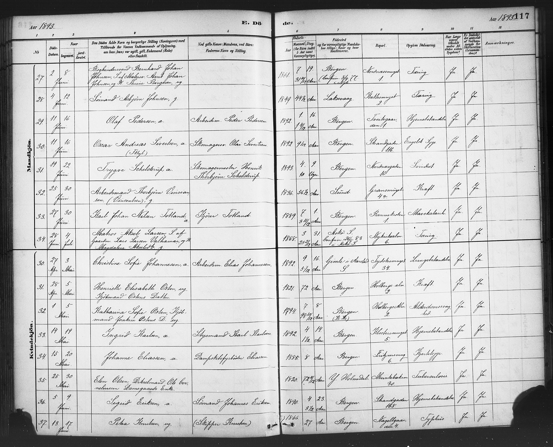 Nykirken Sokneprestembete, AV/SAB-A-77101/H/Haa/L0044: Parish register (official) no. E 4, 1882-1898, p. 117