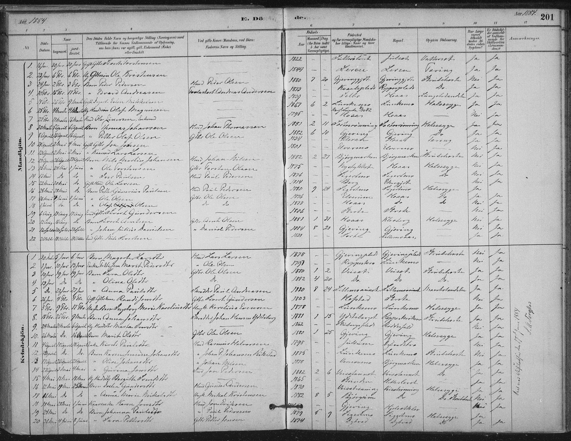 Ministerialprotokoller, klokkerbøker og fødselsregistre - Nord-Trøndelag, SAT/A-1458/710/L0095: Parish register (official) no. 710A01, 1880-1914, p. 201